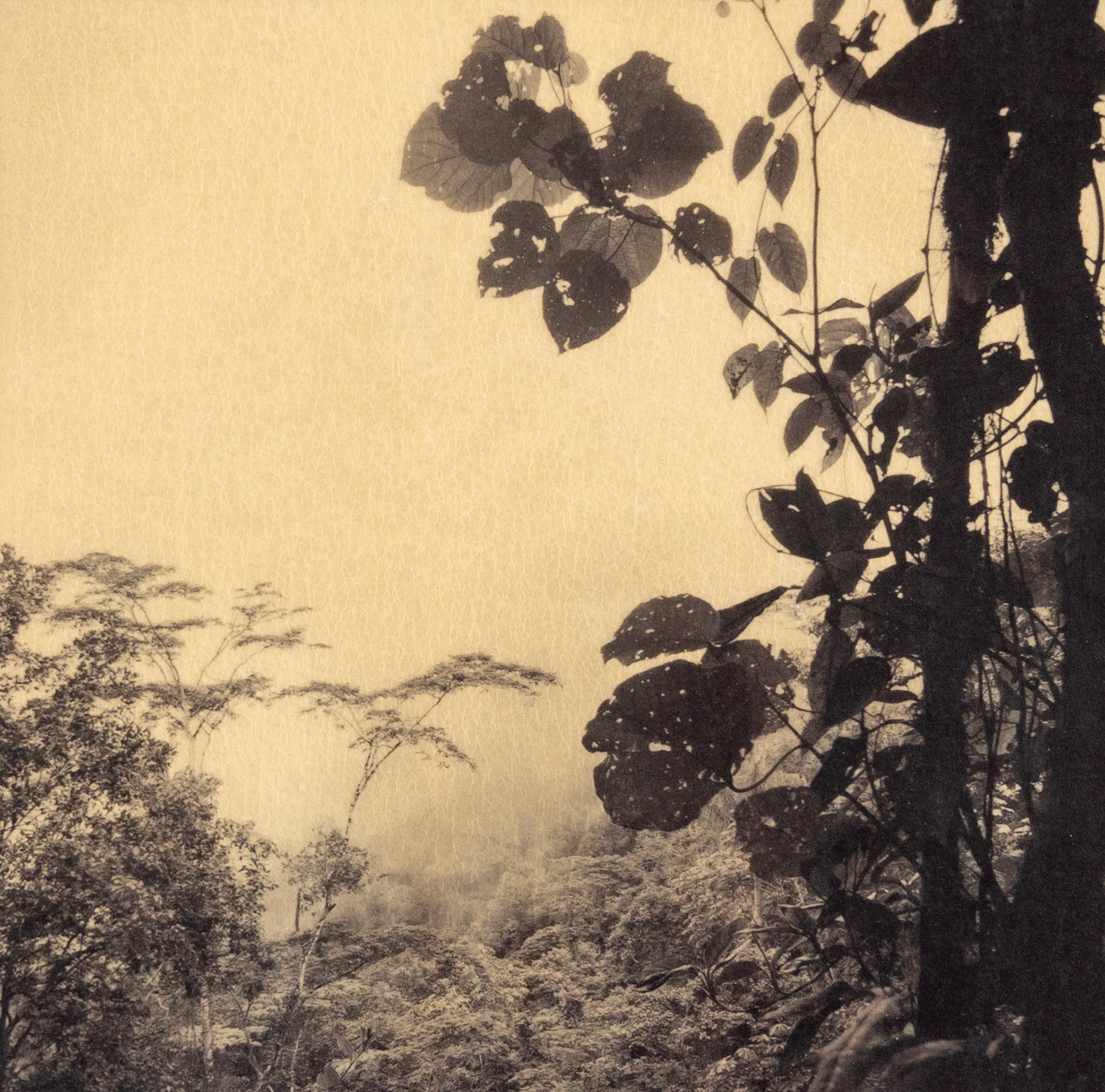 Benavides, Gilded Photograph