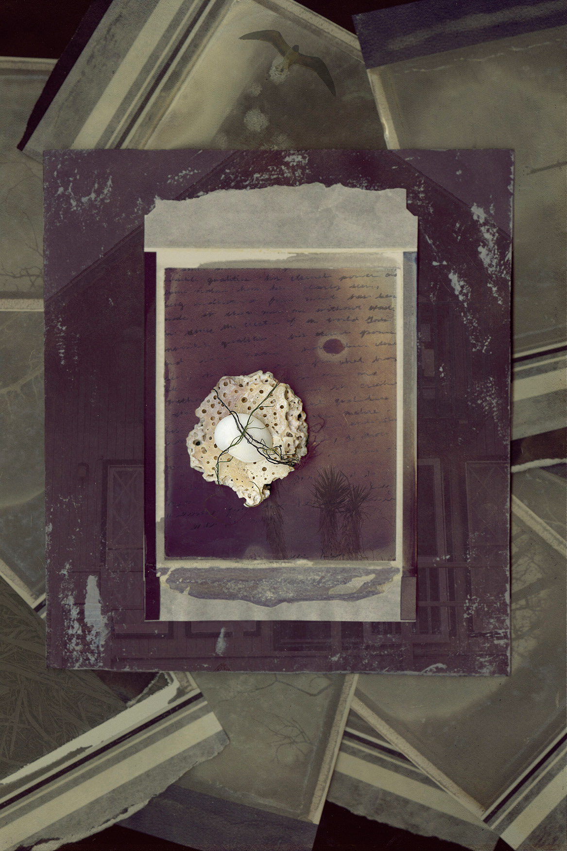 White Marble Gelatin Fresco Image Transfer, 2013