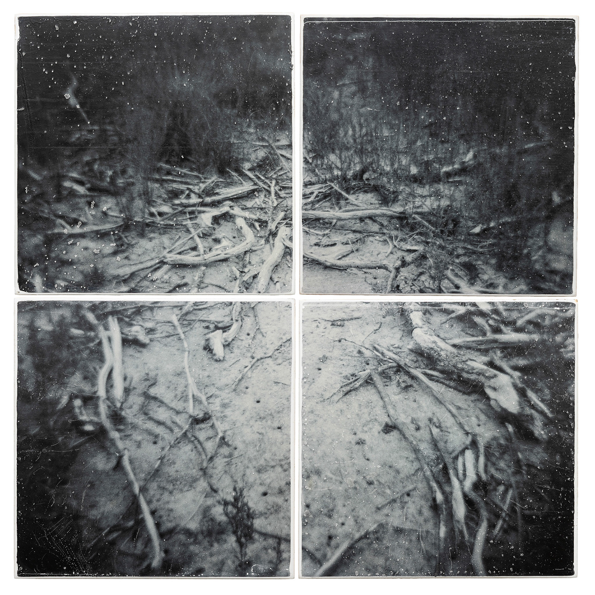 A Stroll That Turned into a Hike. White Marble Gelatin Fresco Image Transfer, 2013