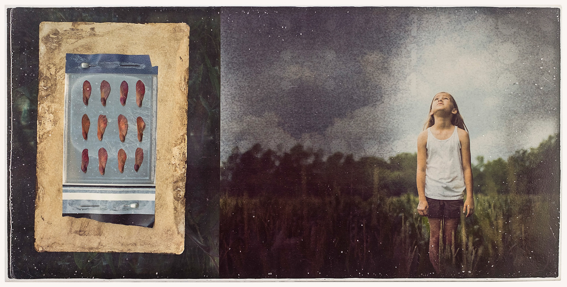 What If...White Marble Gelatin Fresco Image Transfer, 2013