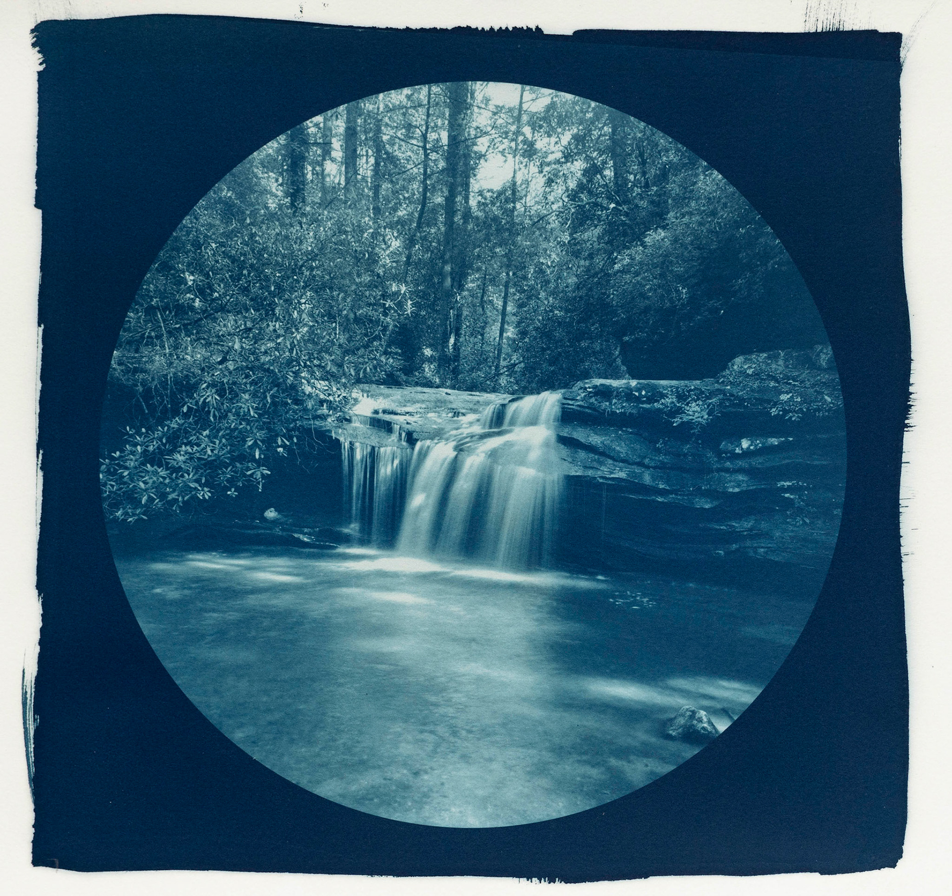 For Howard: Table Rock State Park. Botanically Toned Cyanotype, 2023