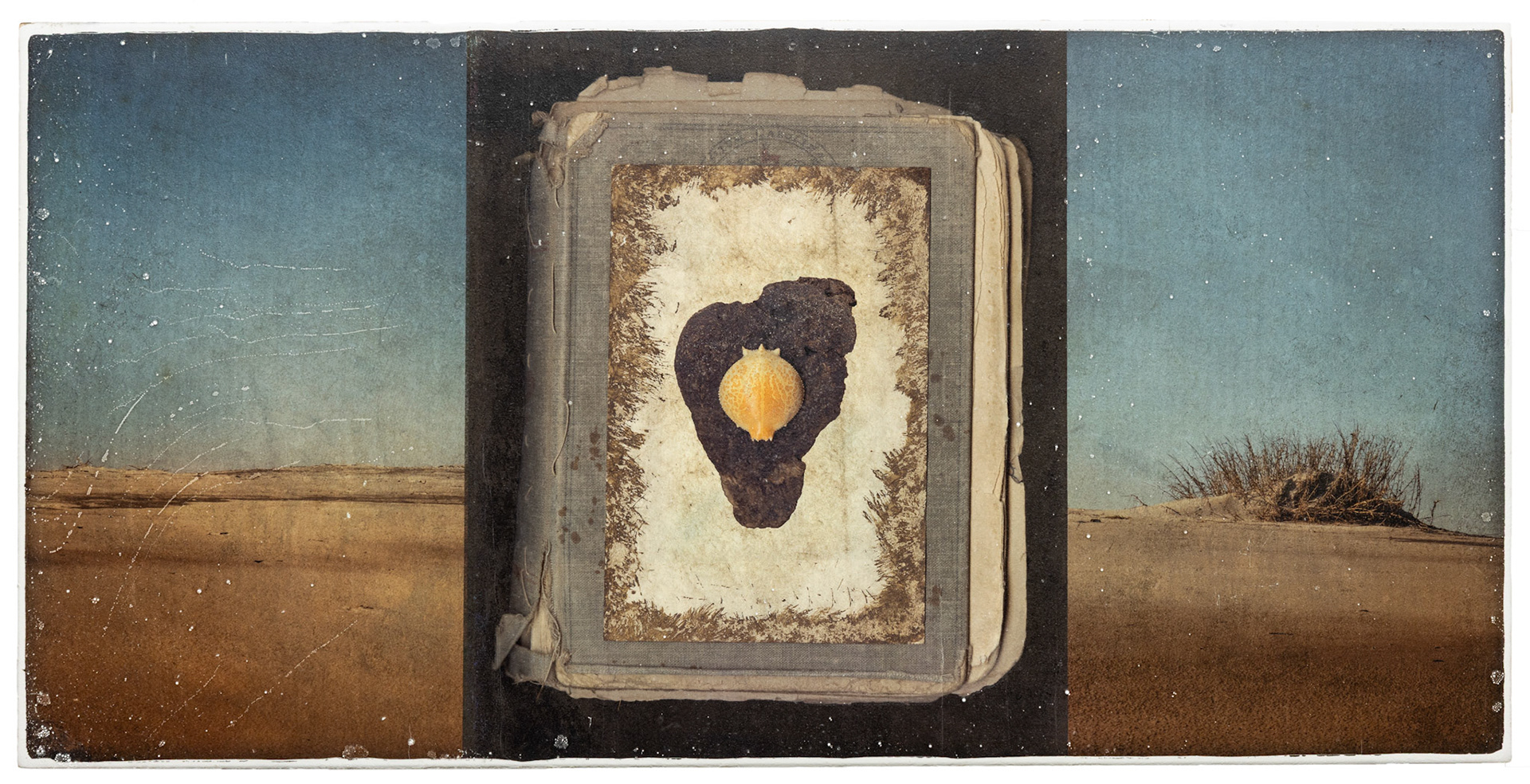 Page 38. White Marble Gelatin Fresco Image Transfer, 2013