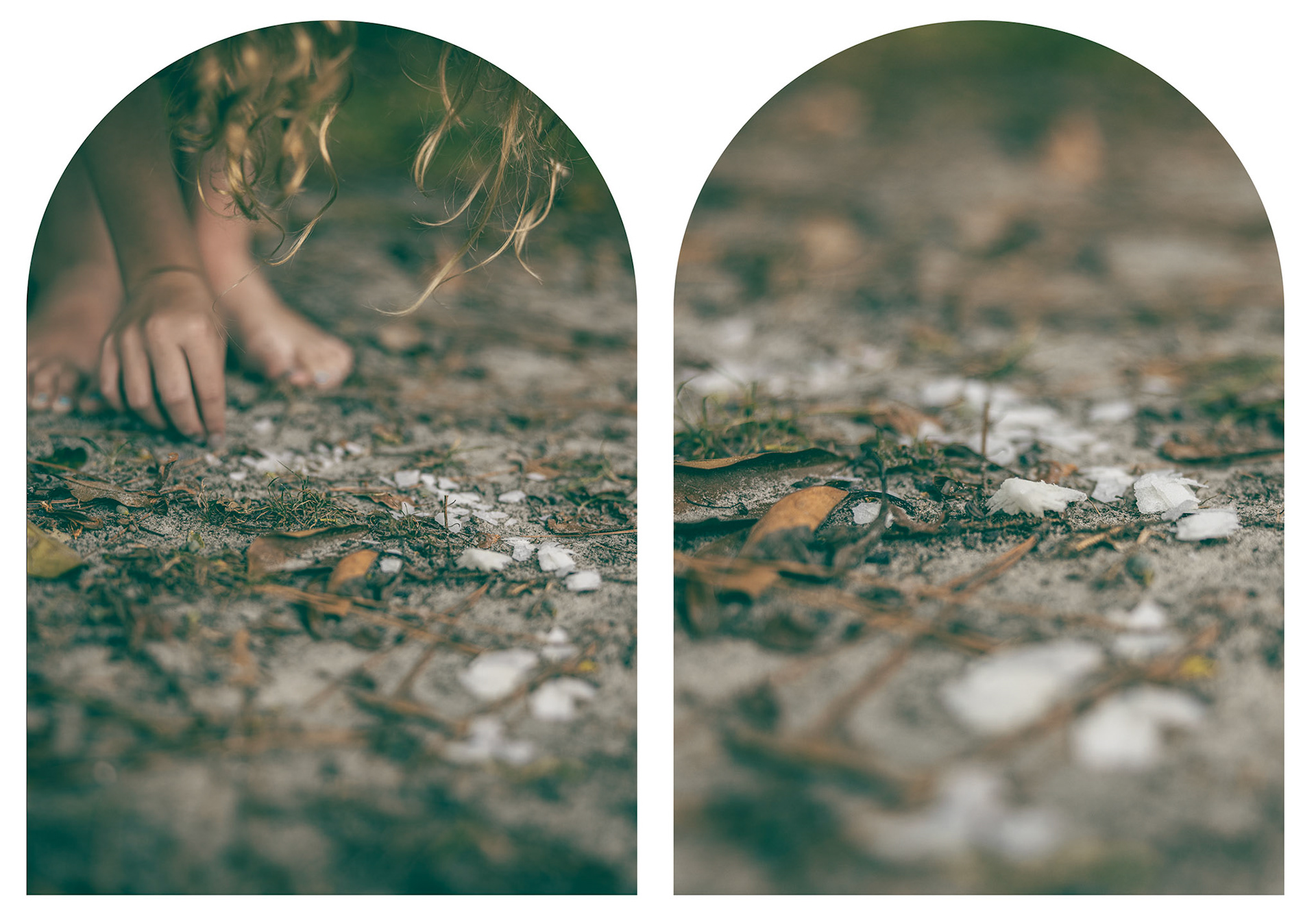 Moses by Faith: Sacrifice, Provision and Preparation. Archival Inkjet Print