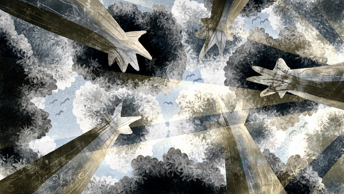 Background: forest canopy