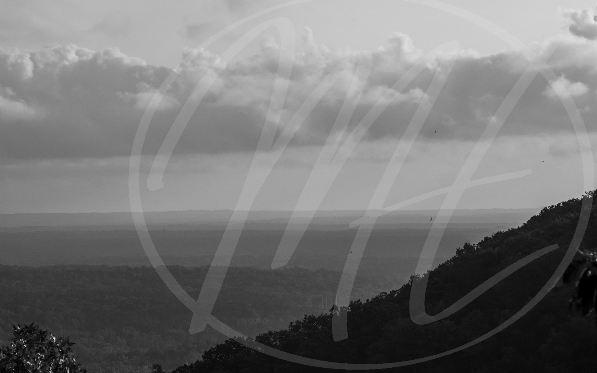 Birds from Kennesaw Mountain