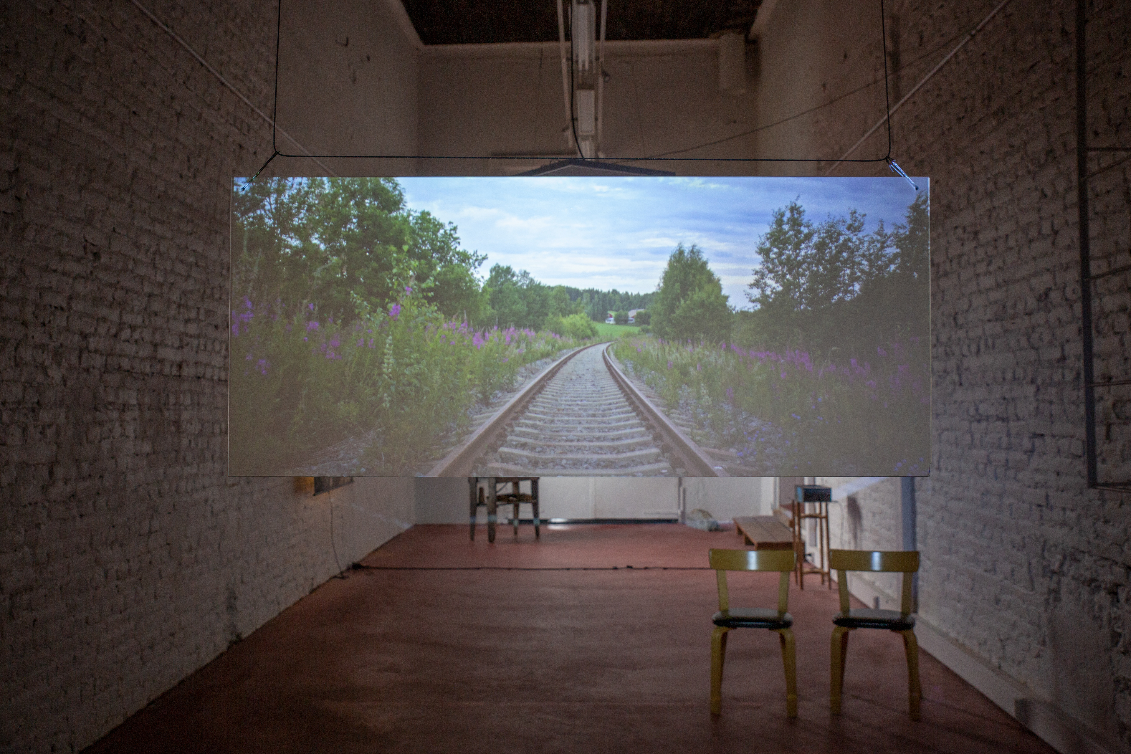 A detail of the installation in "Biofilia" exhibition