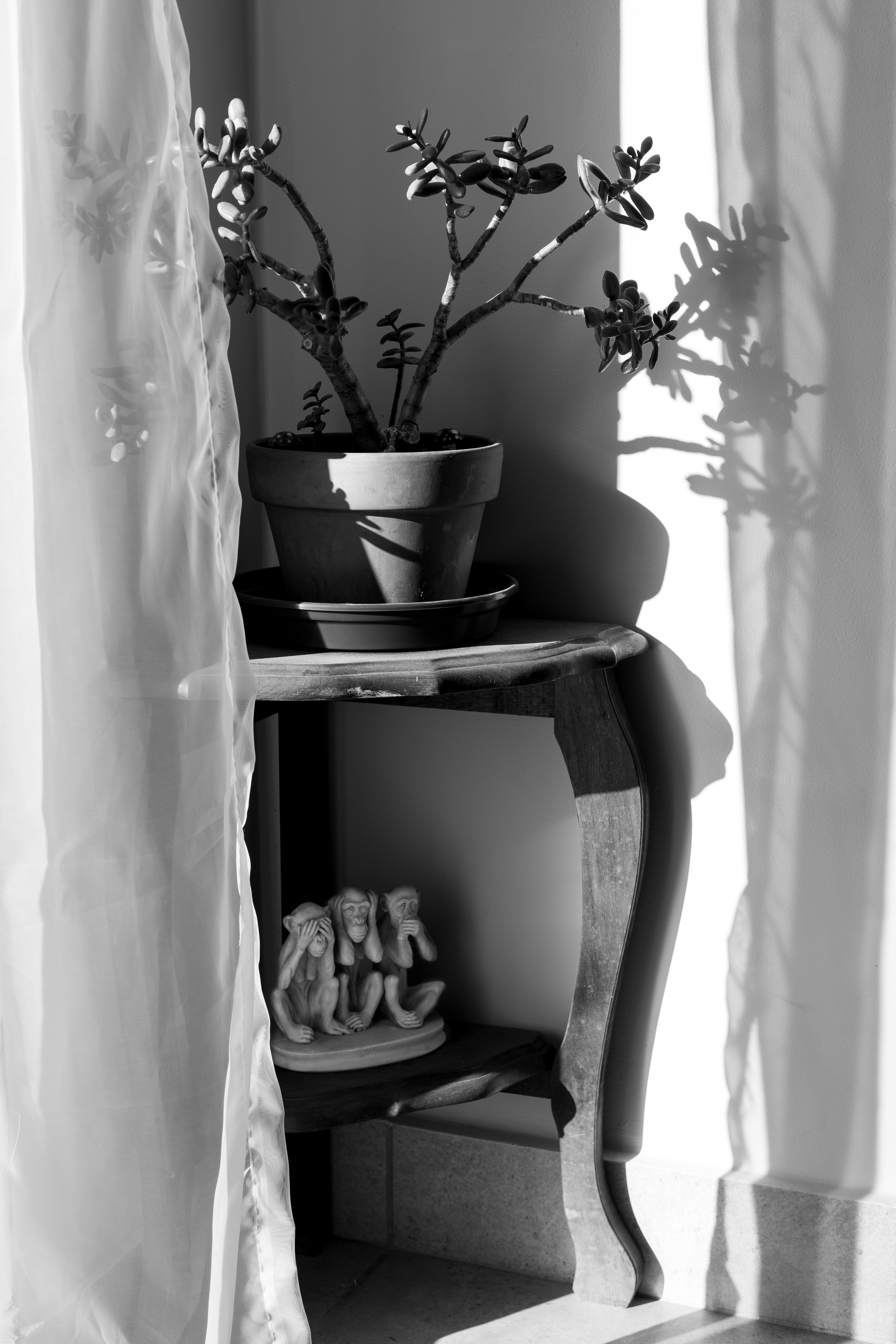 Home (Permanent Impermanence)