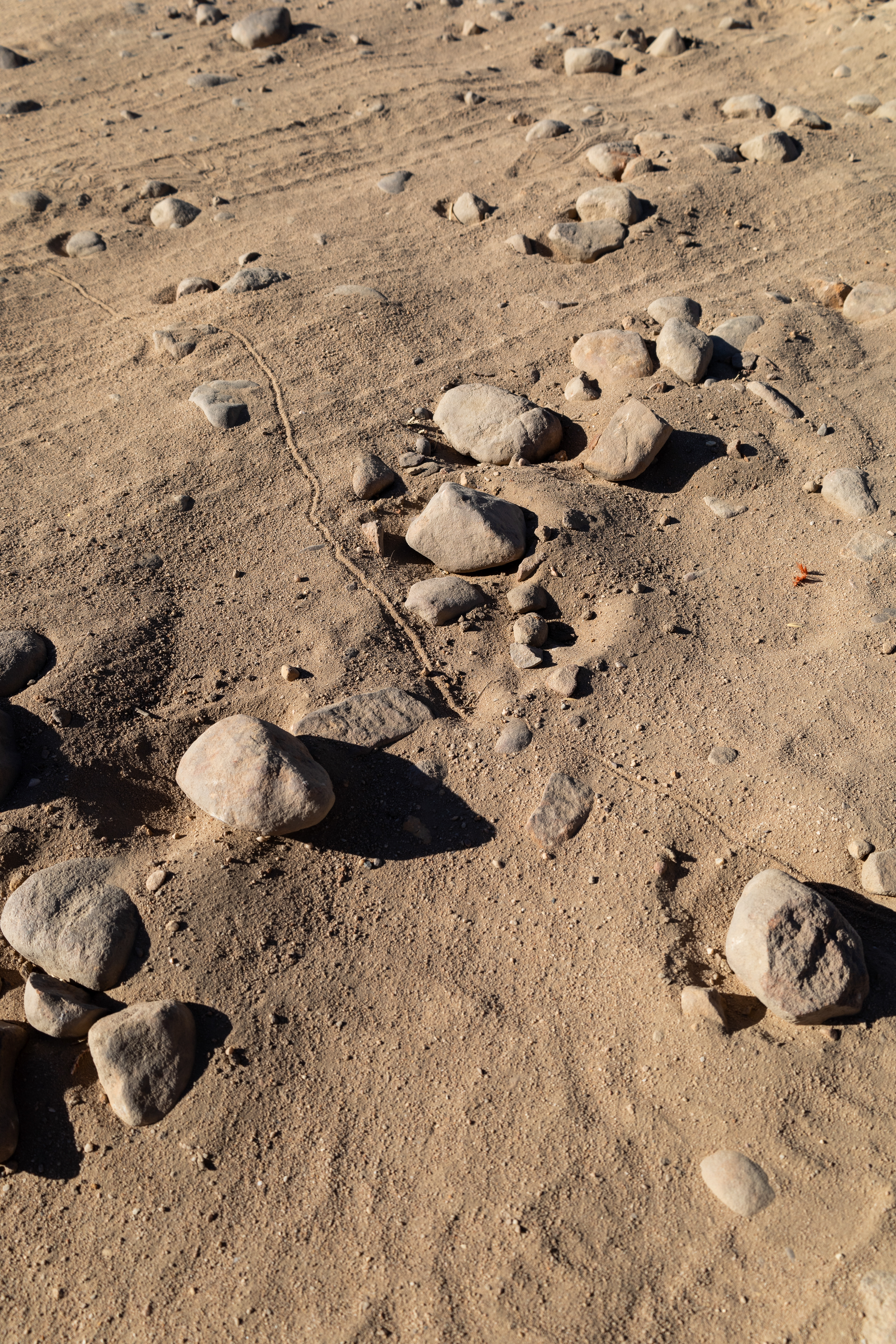 A Grain of Sand