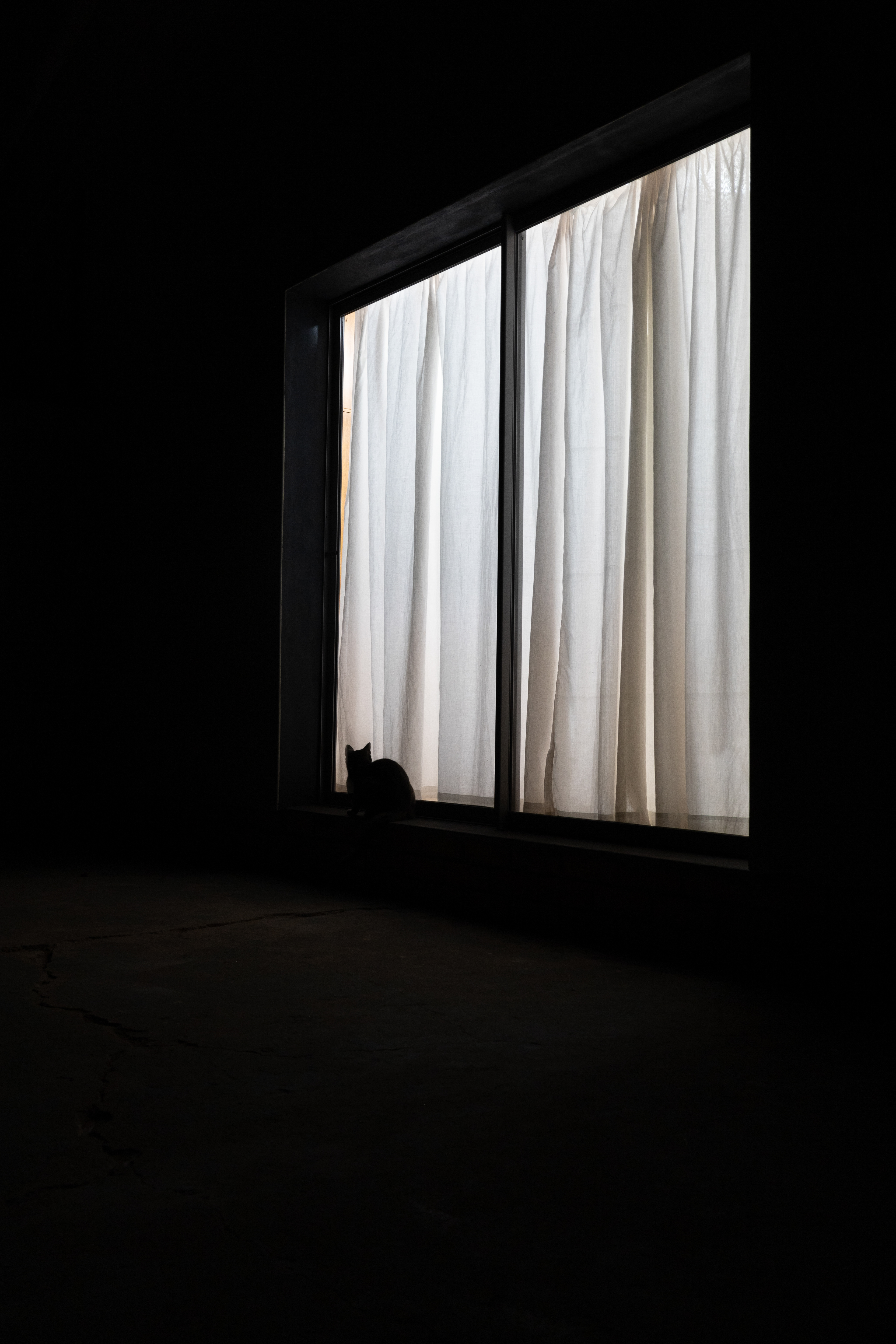 The Other Side of the Sliding Door