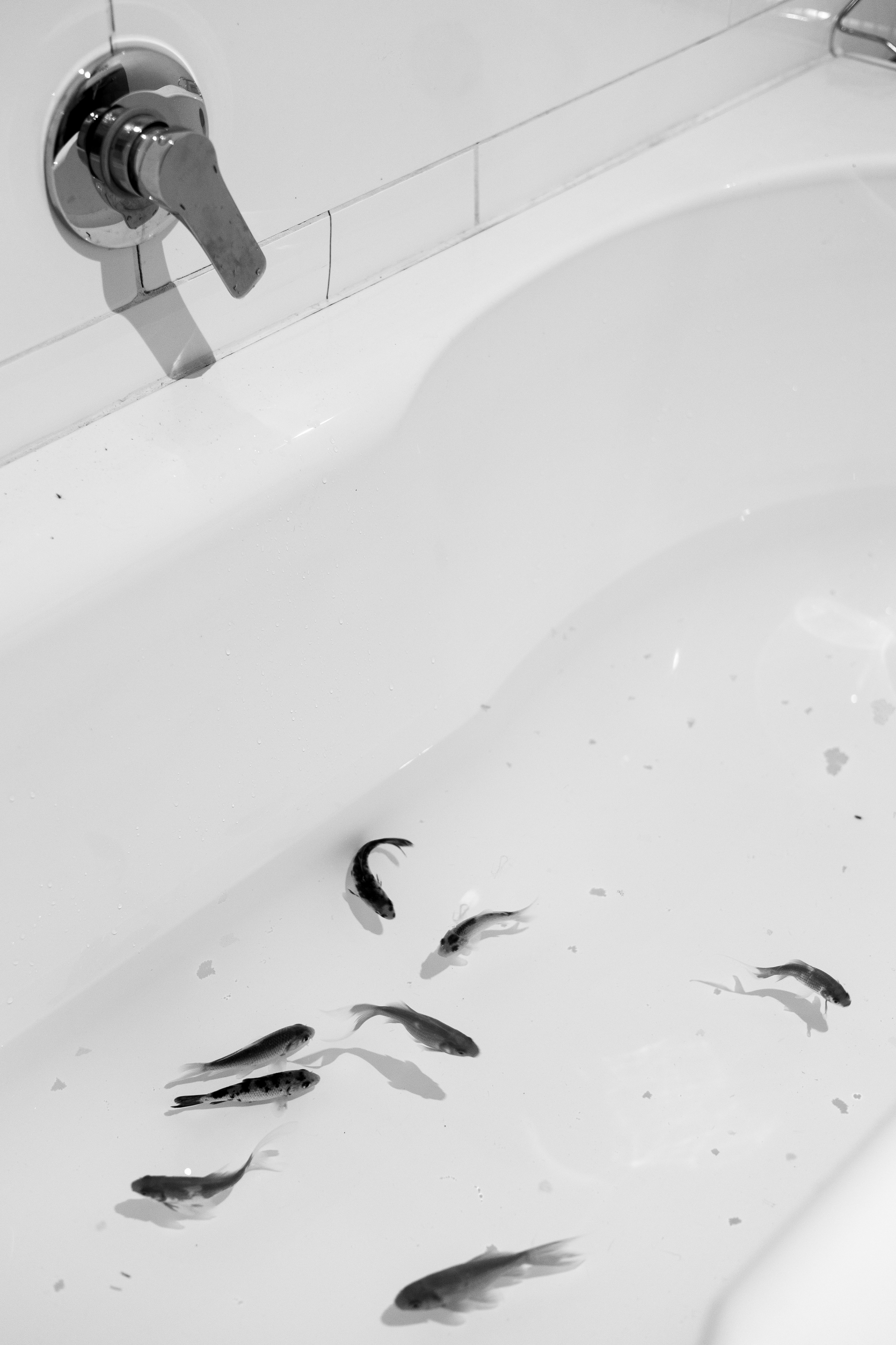 Small Ideas in a Bath Tub
