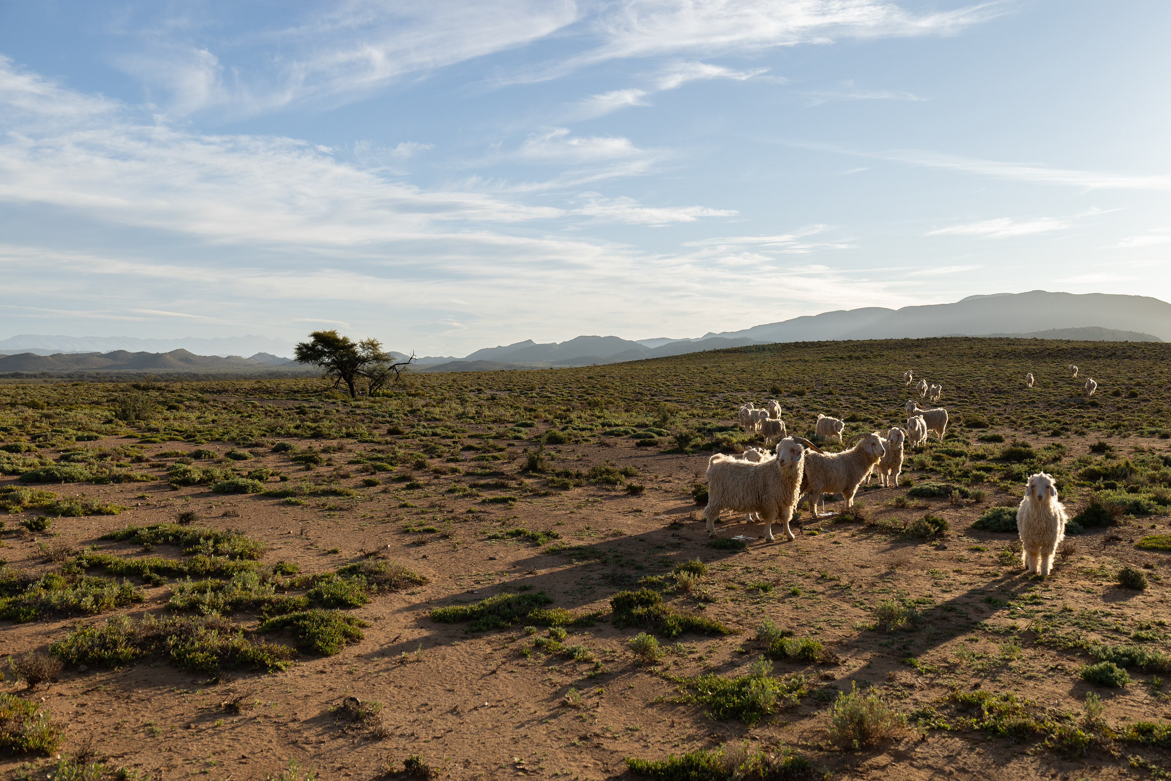 I Am Because You Are