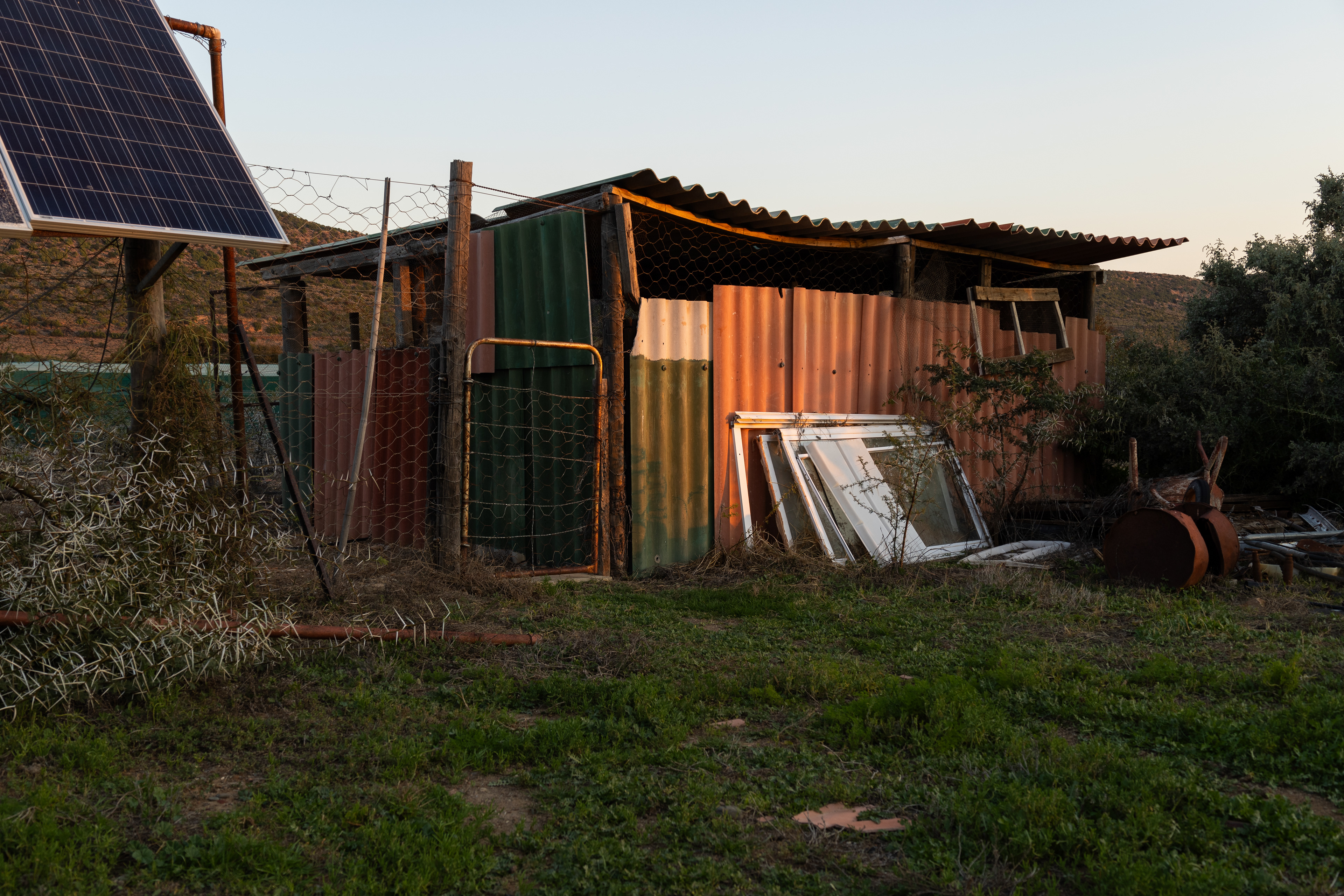 Chicken Coop