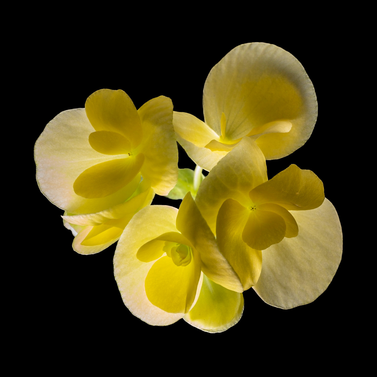 Fine Art Photography