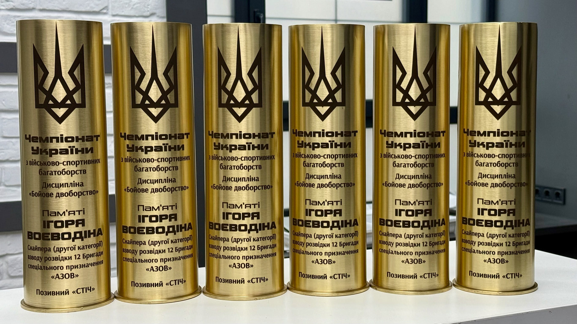 6 меморіальних кубків пам'яті Ігоря Воєводіна