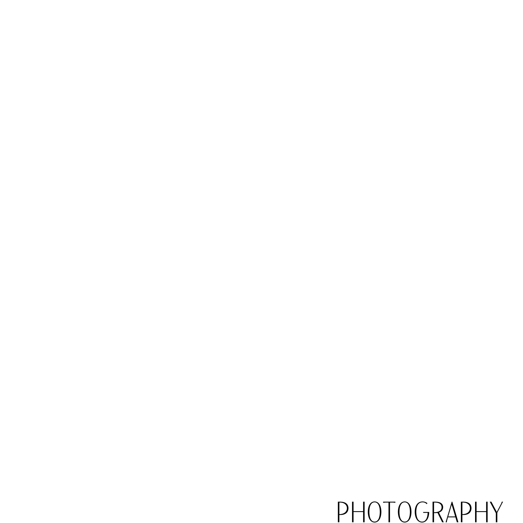 Alfredo P. Photography
