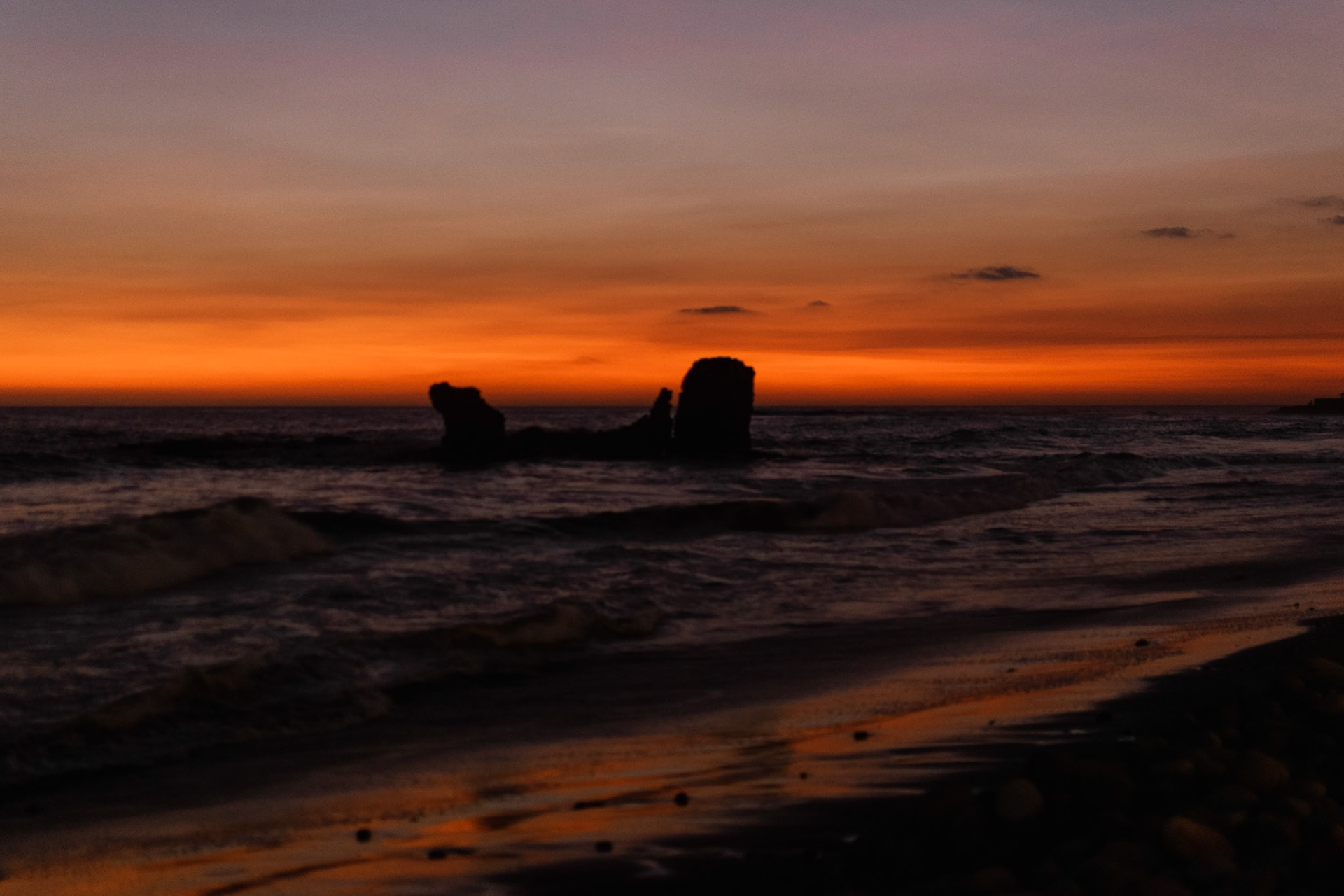 Didn't nail the focus here, so we'll call it "art"