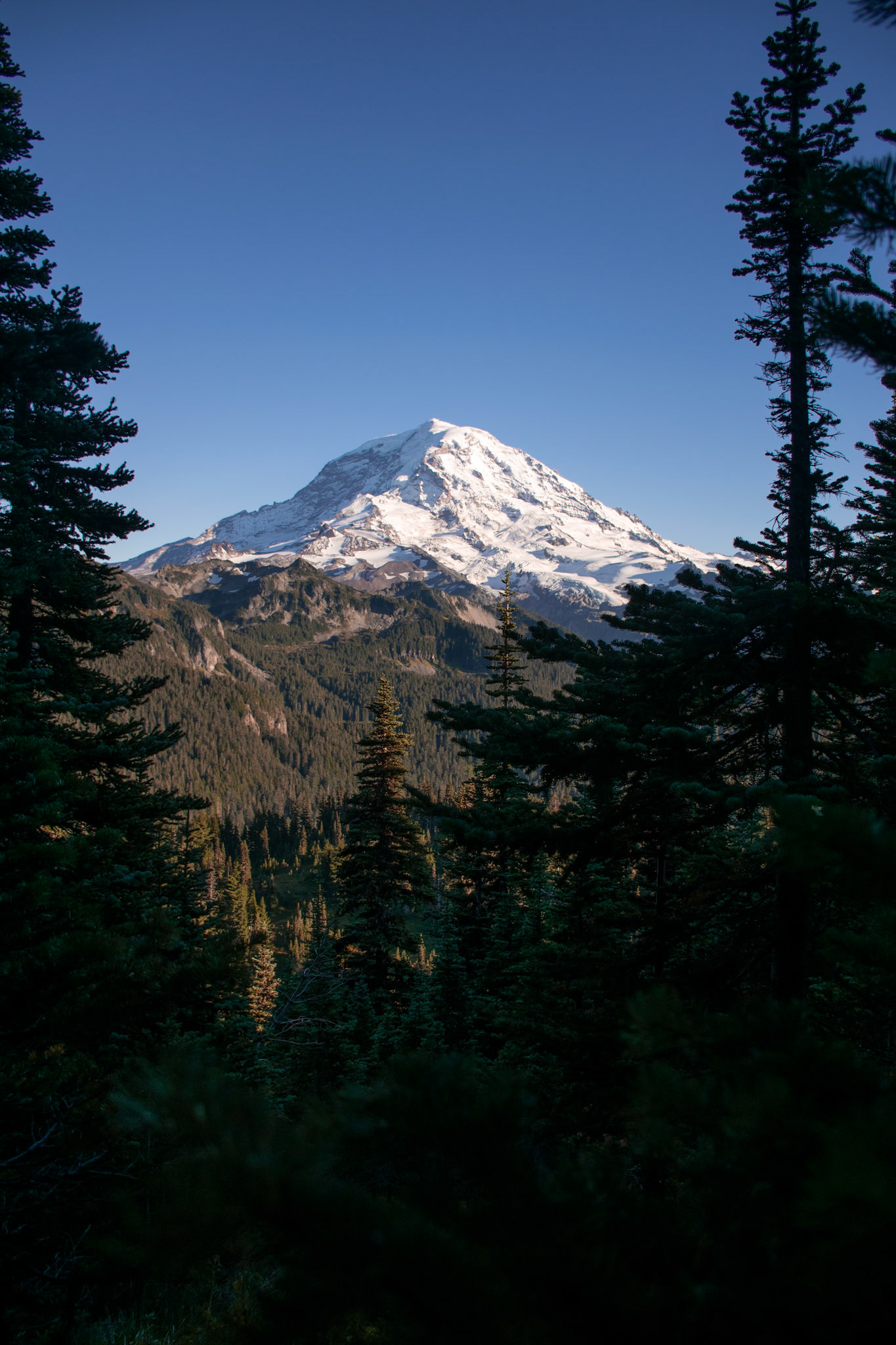 Rainier