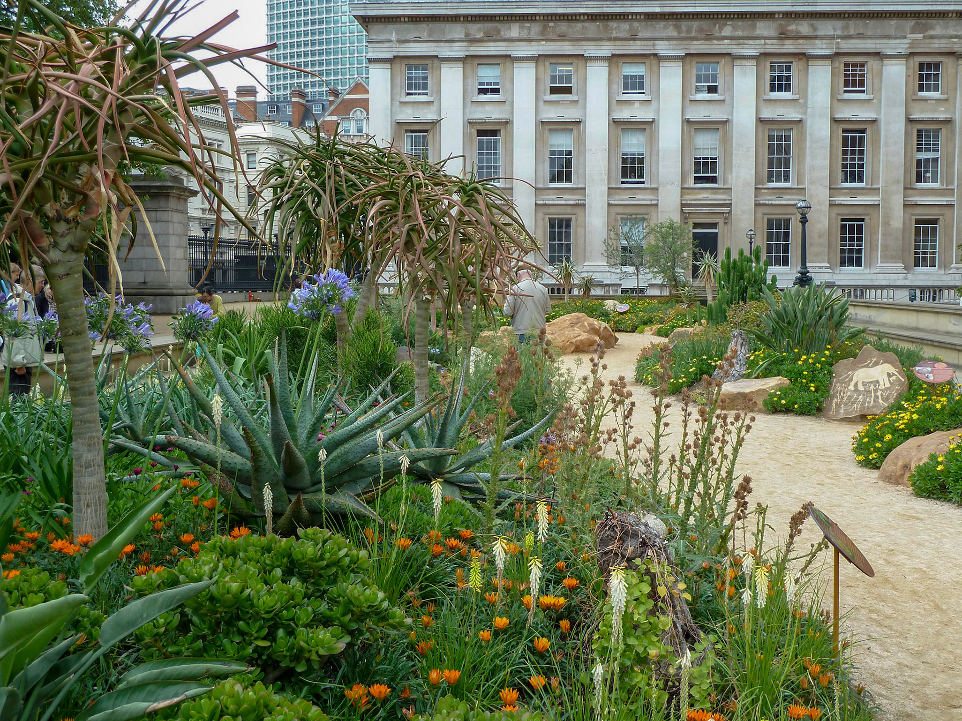 A desert garden in London.