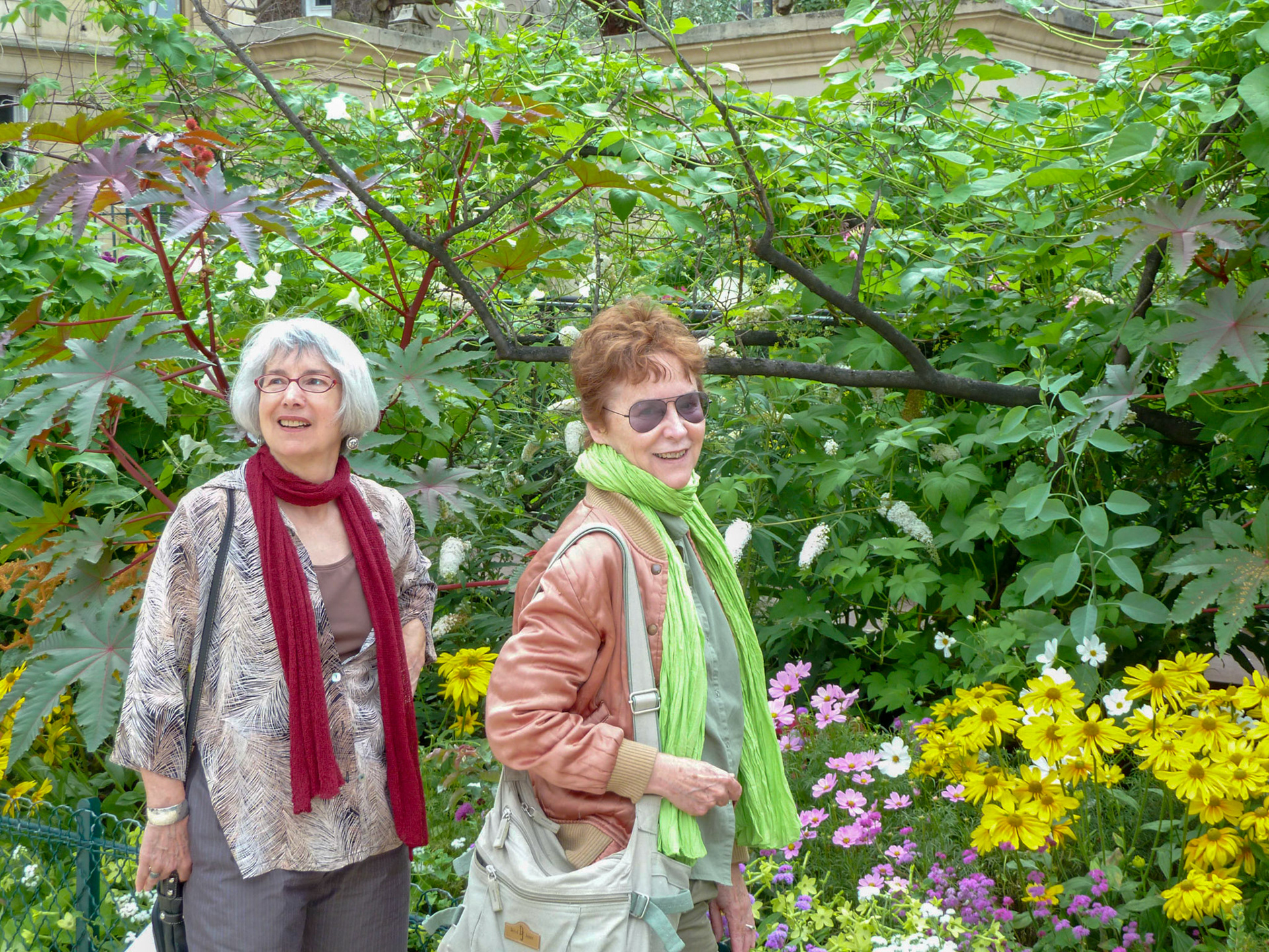 Linny and Penny scope out a garden near the Arena de Letuce.