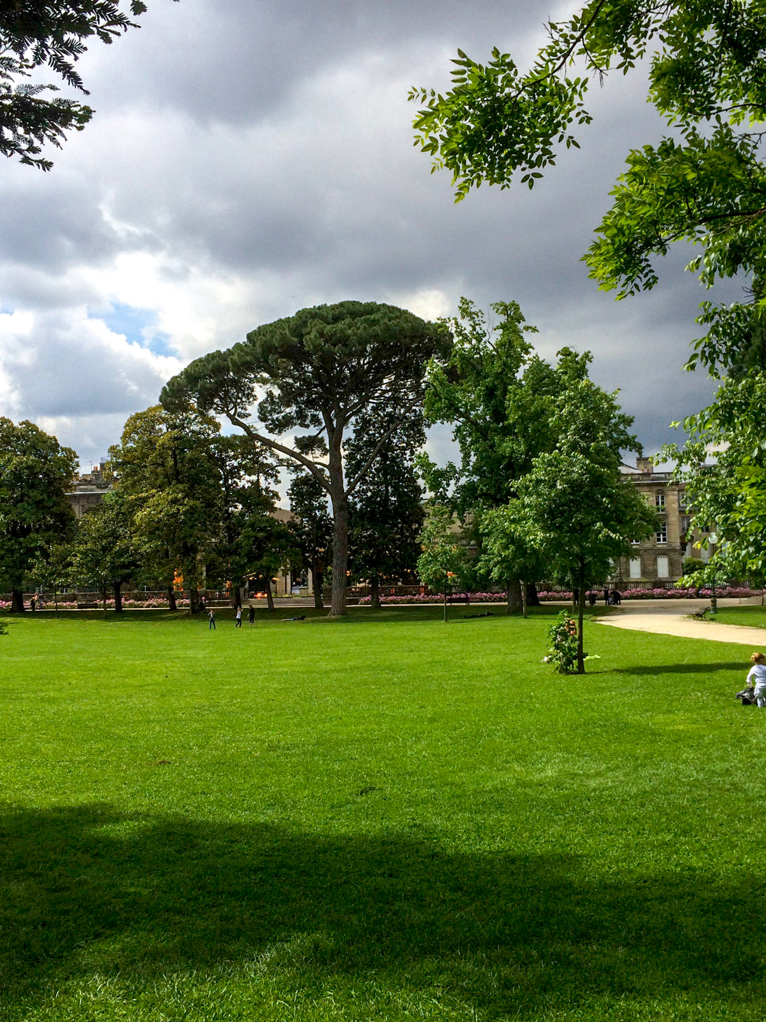 Park in the park