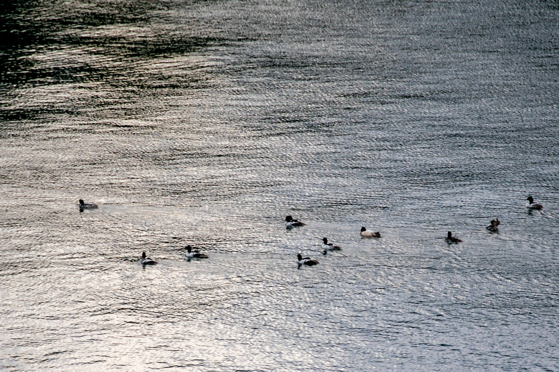 Passing by.