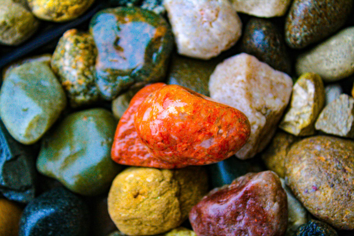 (Photo by Easton Miller)