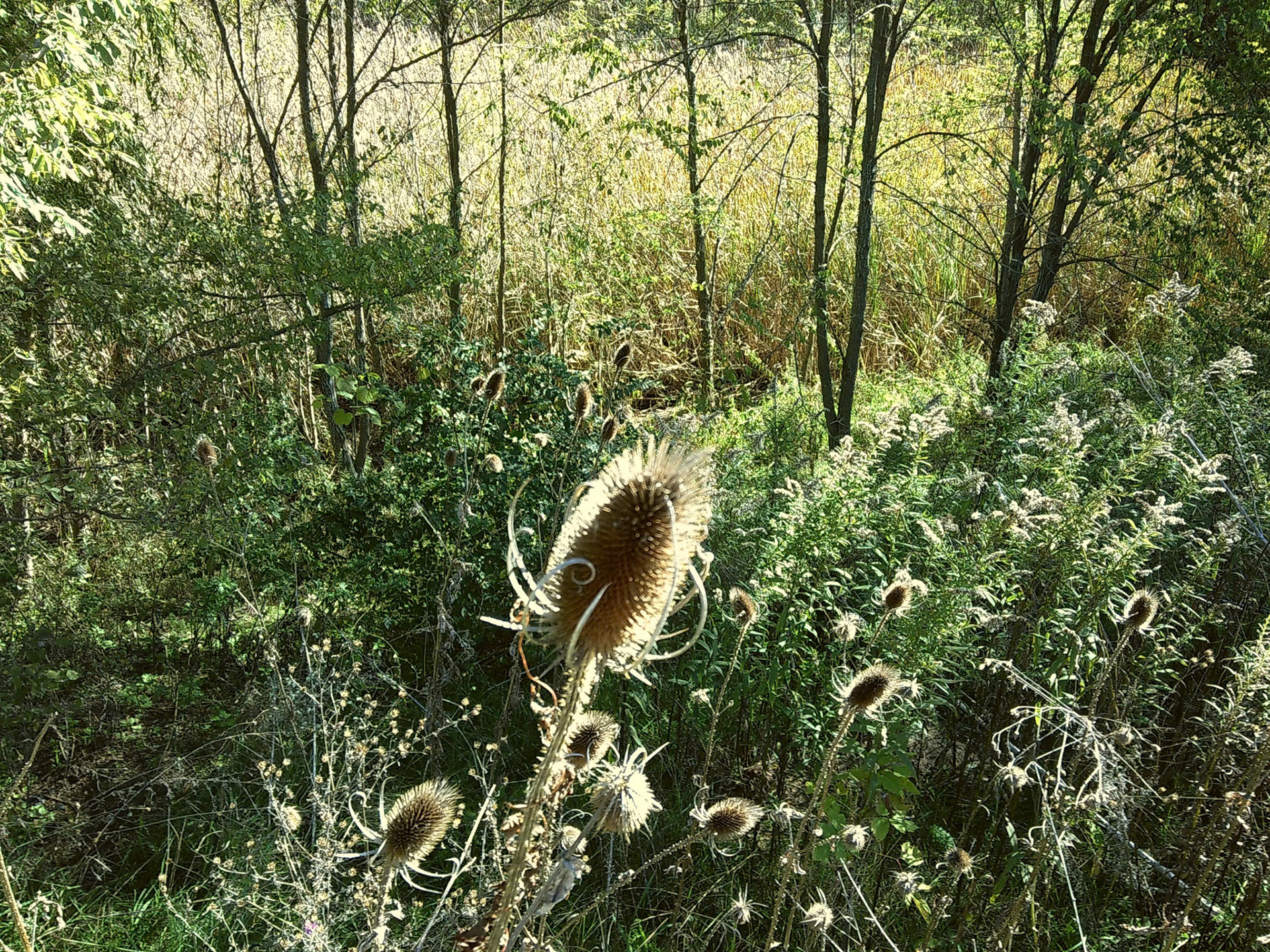 (Photo by Justin Dantuma)