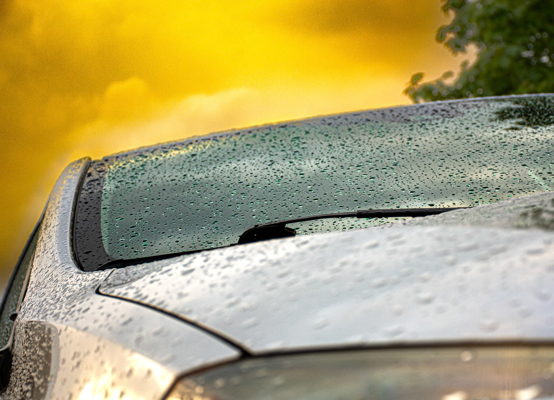 (Photo by Owen Rounds)