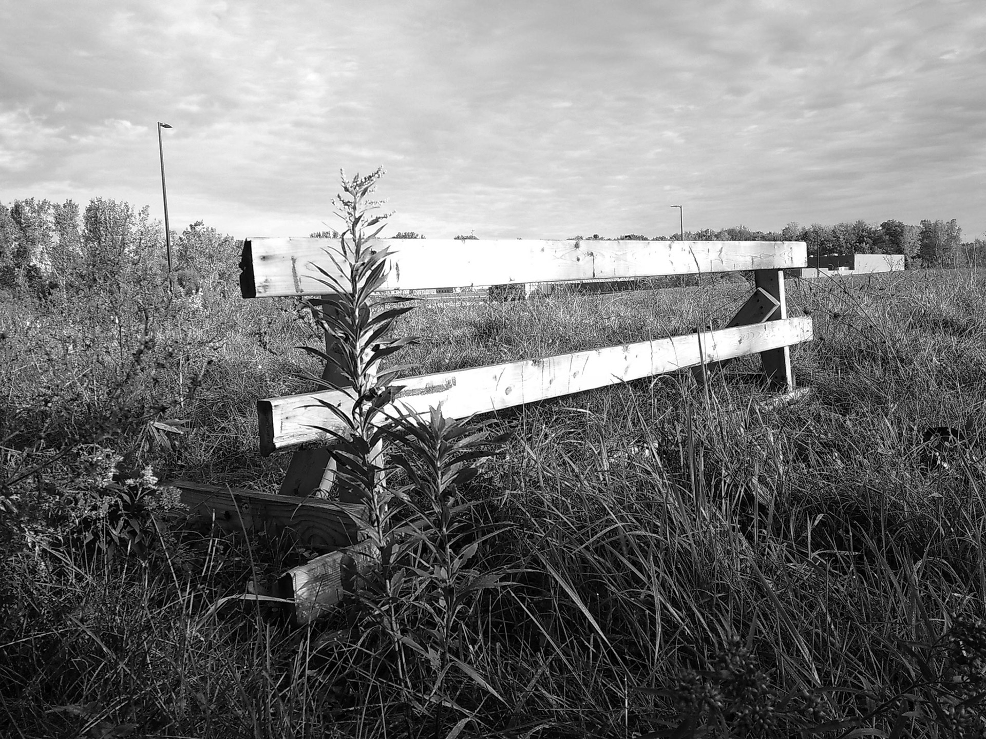 (Photo by Ayla Gerken)