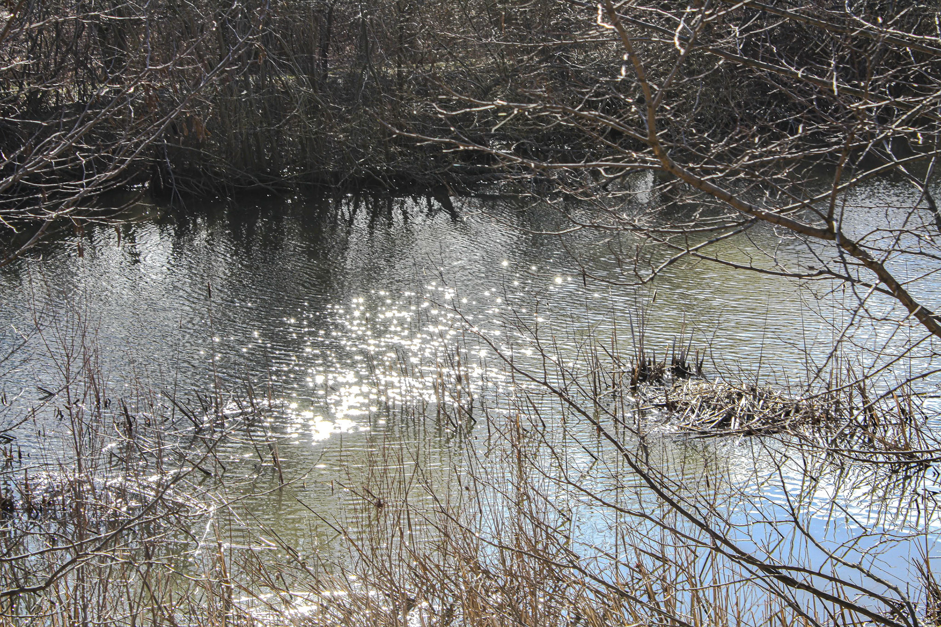 (Photo by Maliyah Gebremariam)