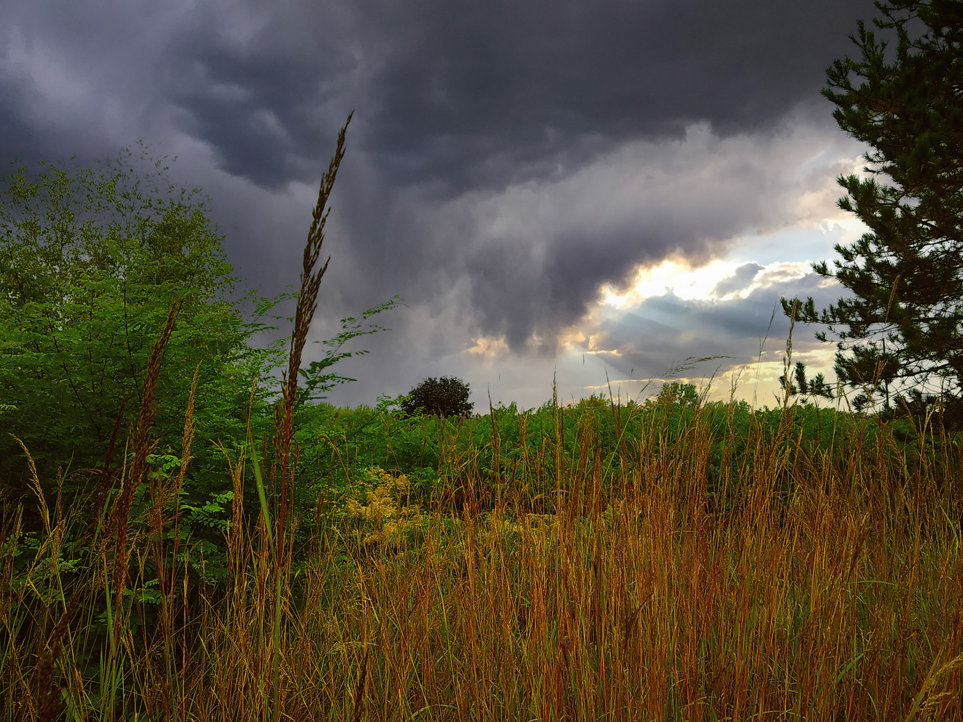 (Photo by Ayla Gerken)