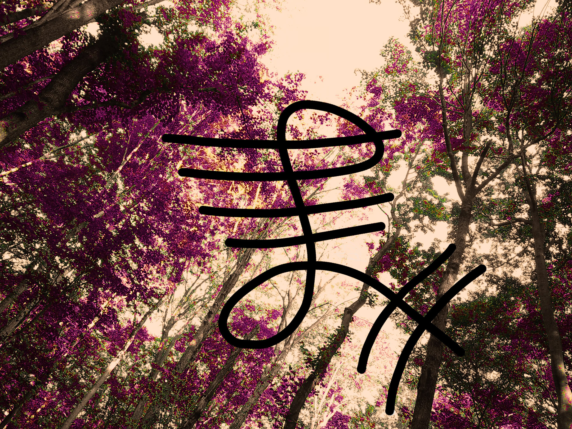 Graphic Design (Colyn Grasman)