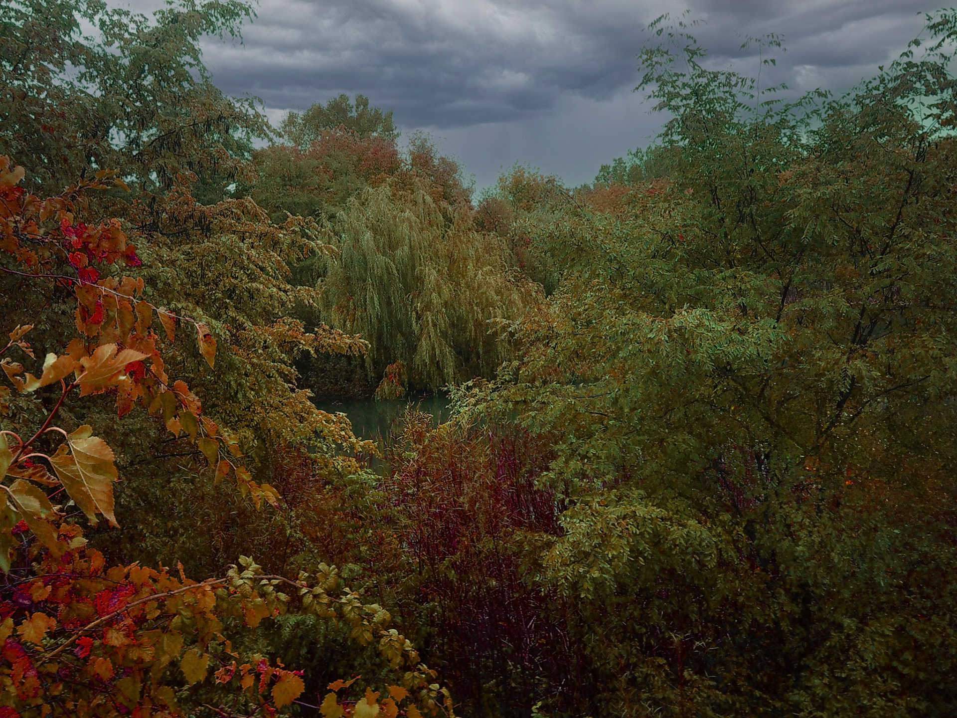 (Photo by Ayla Gerken)