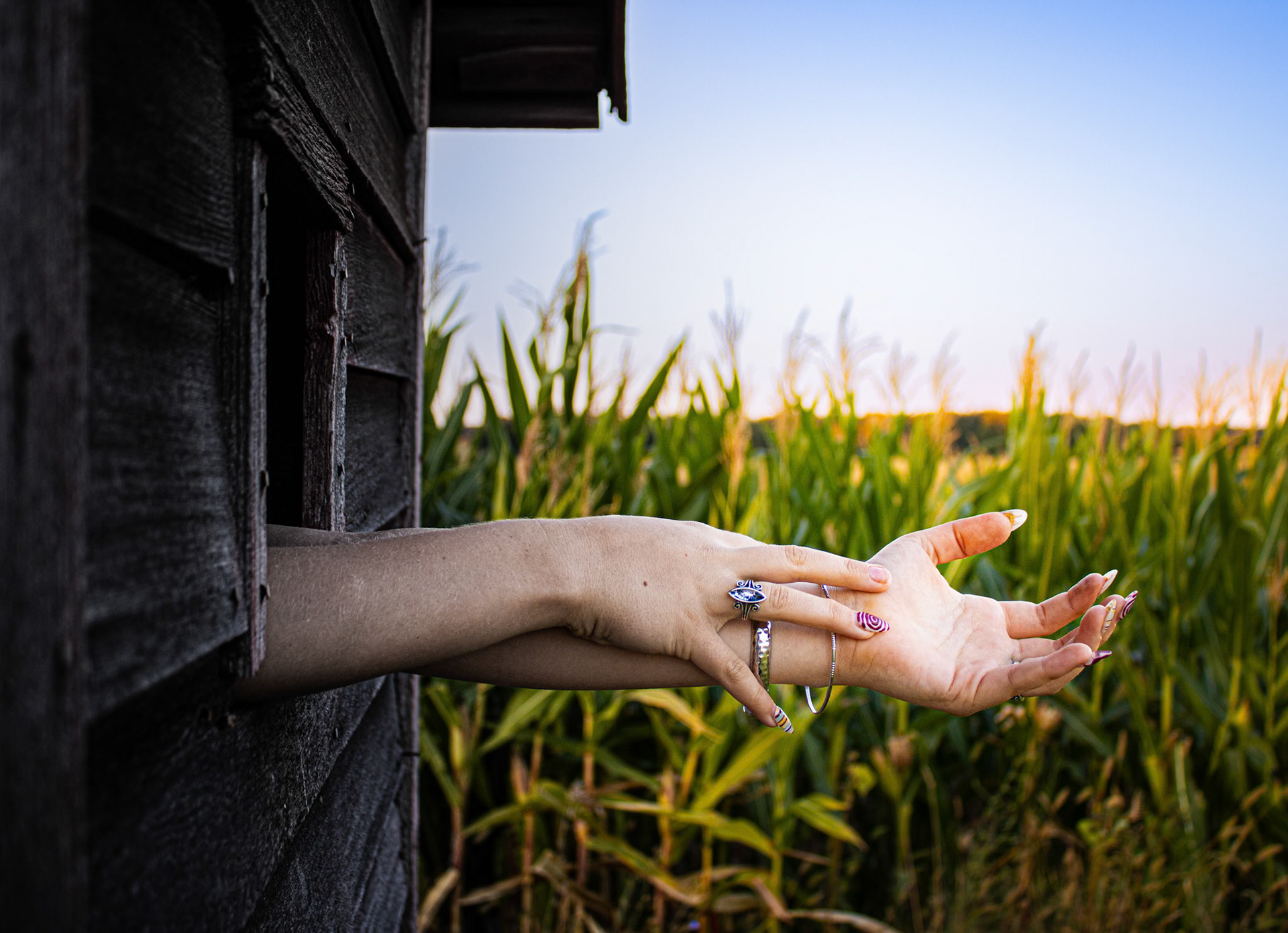 Photography (Addi Thornton)