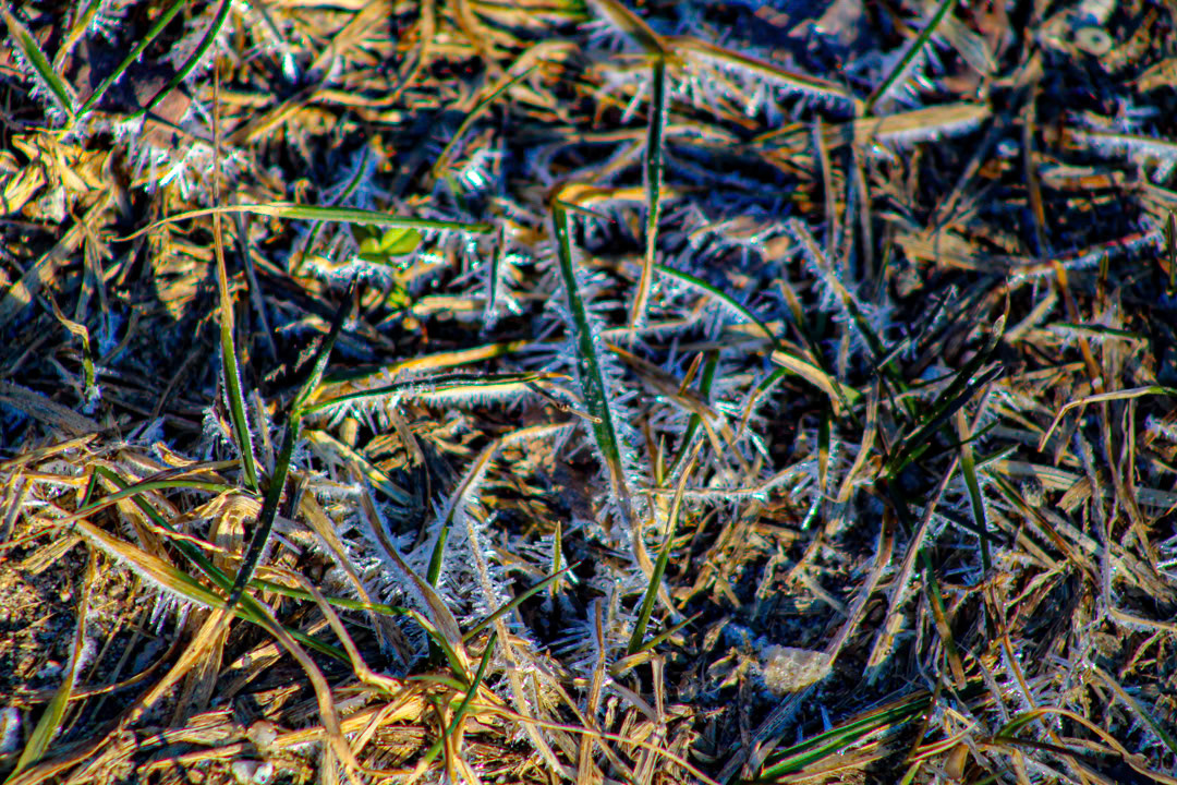 (Photo by Michael Paarlberg)