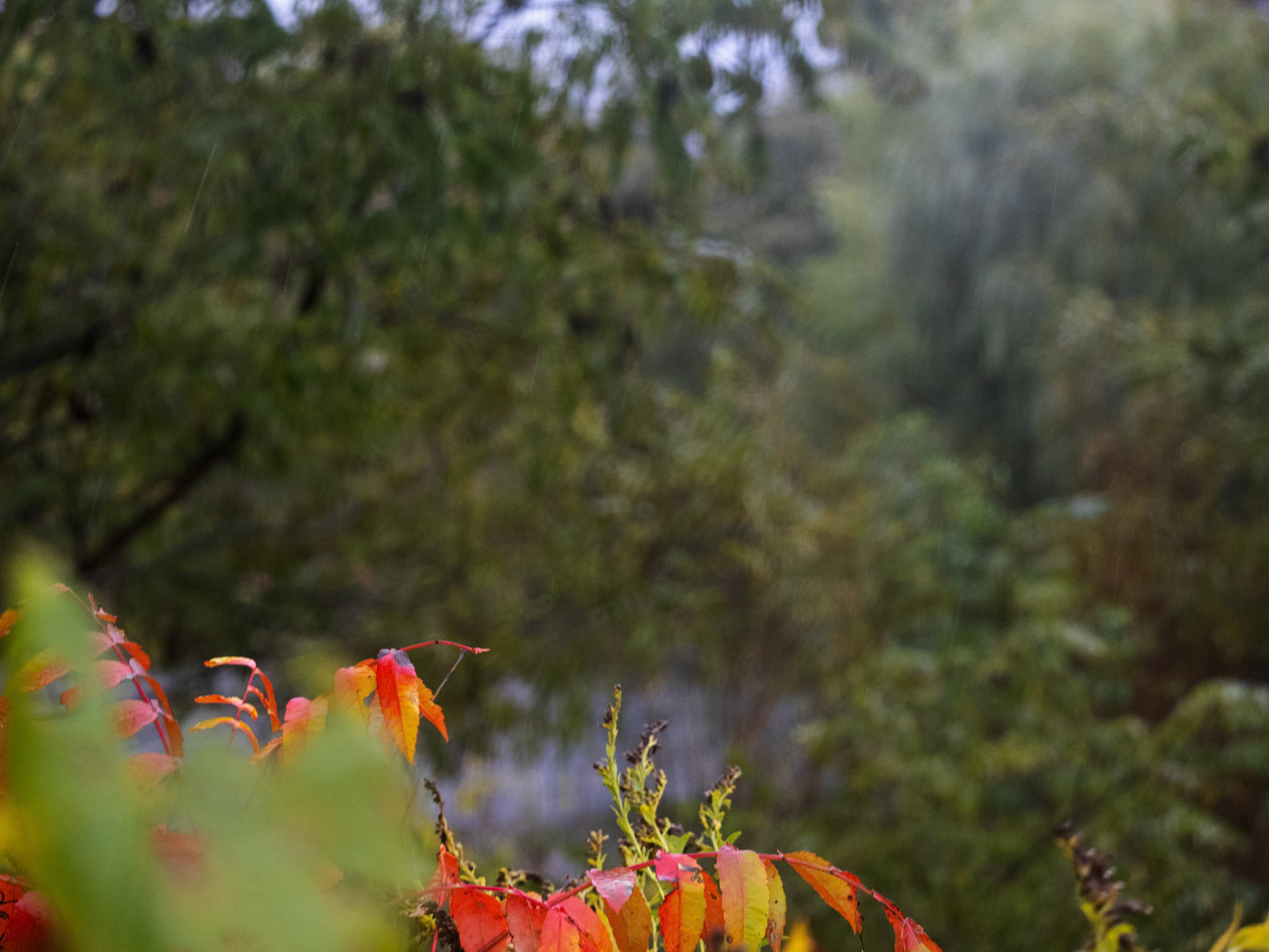 (Photo by Ayla Gerken)