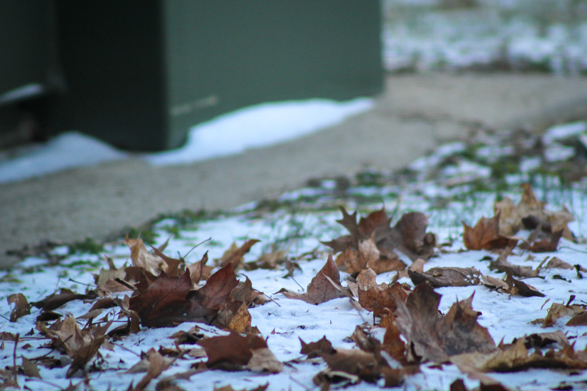 (Photo by Escher Reeder)