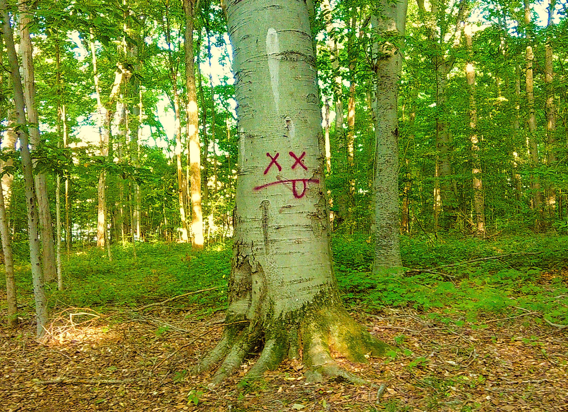 (Photo by Brecken Byrd)