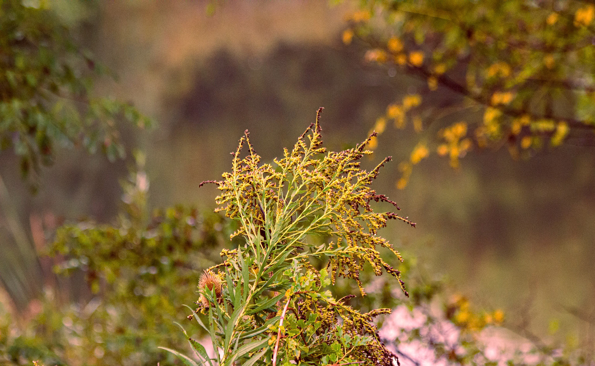 (Photo by Joe Visel)