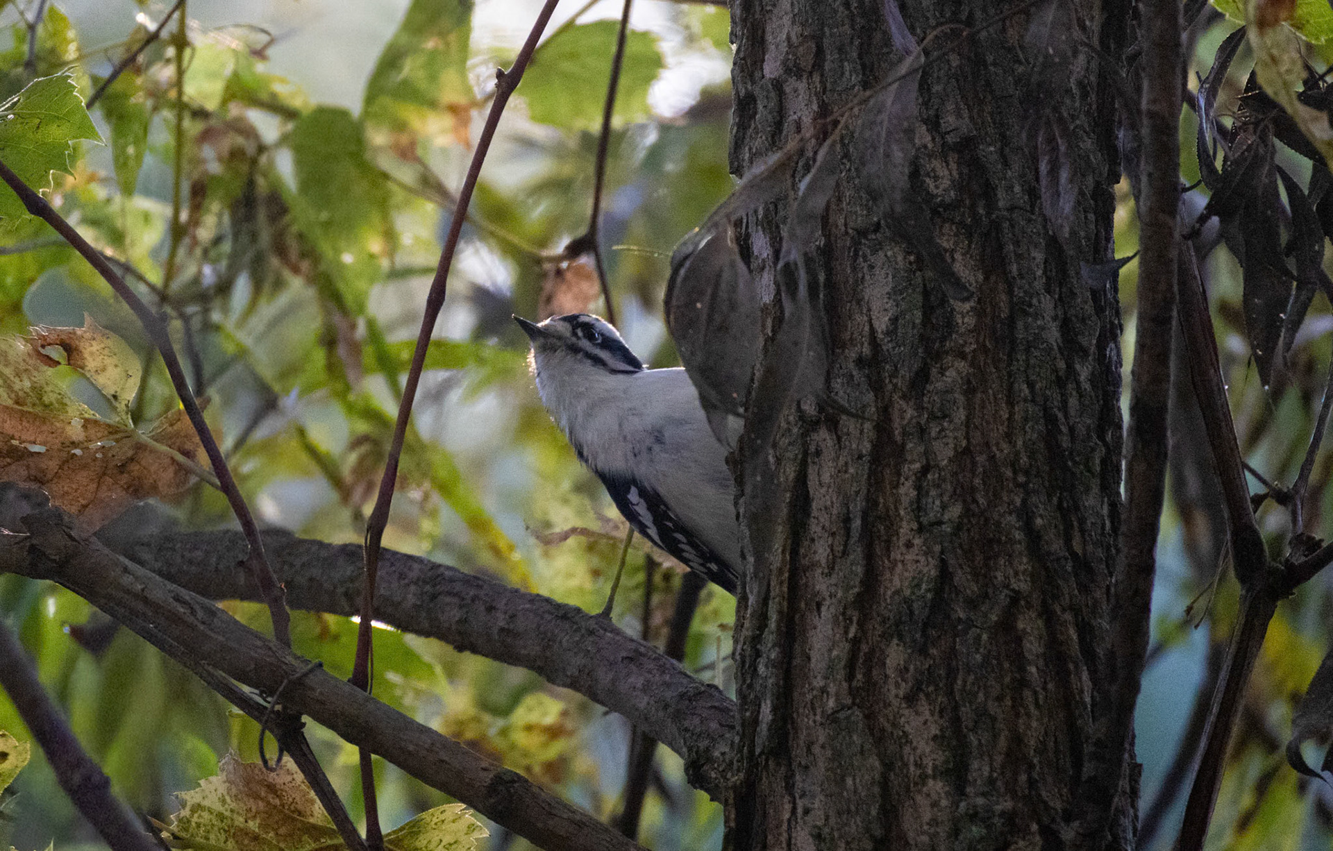 (Photo by Jack LeBoeuf)