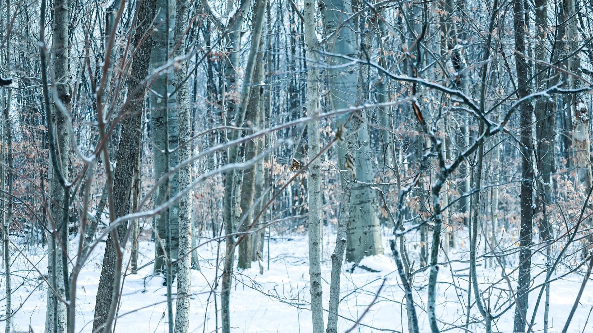 (Photo by Juliana Apo)