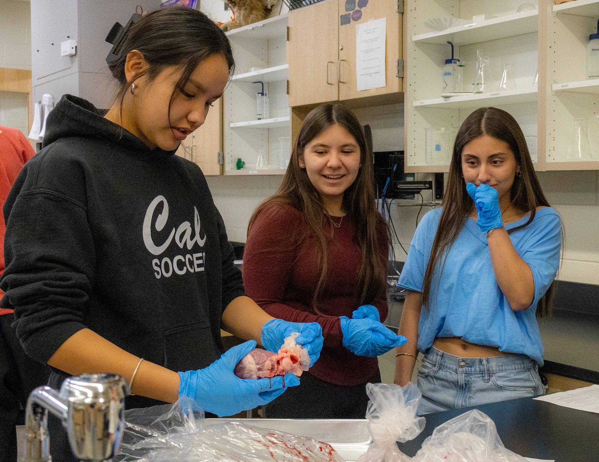 Jazmyn Thompson examines a pig heart while Juliana Apo and Gabs Rissley can’t hide their disgust. (Photo by Avarey Lippert)