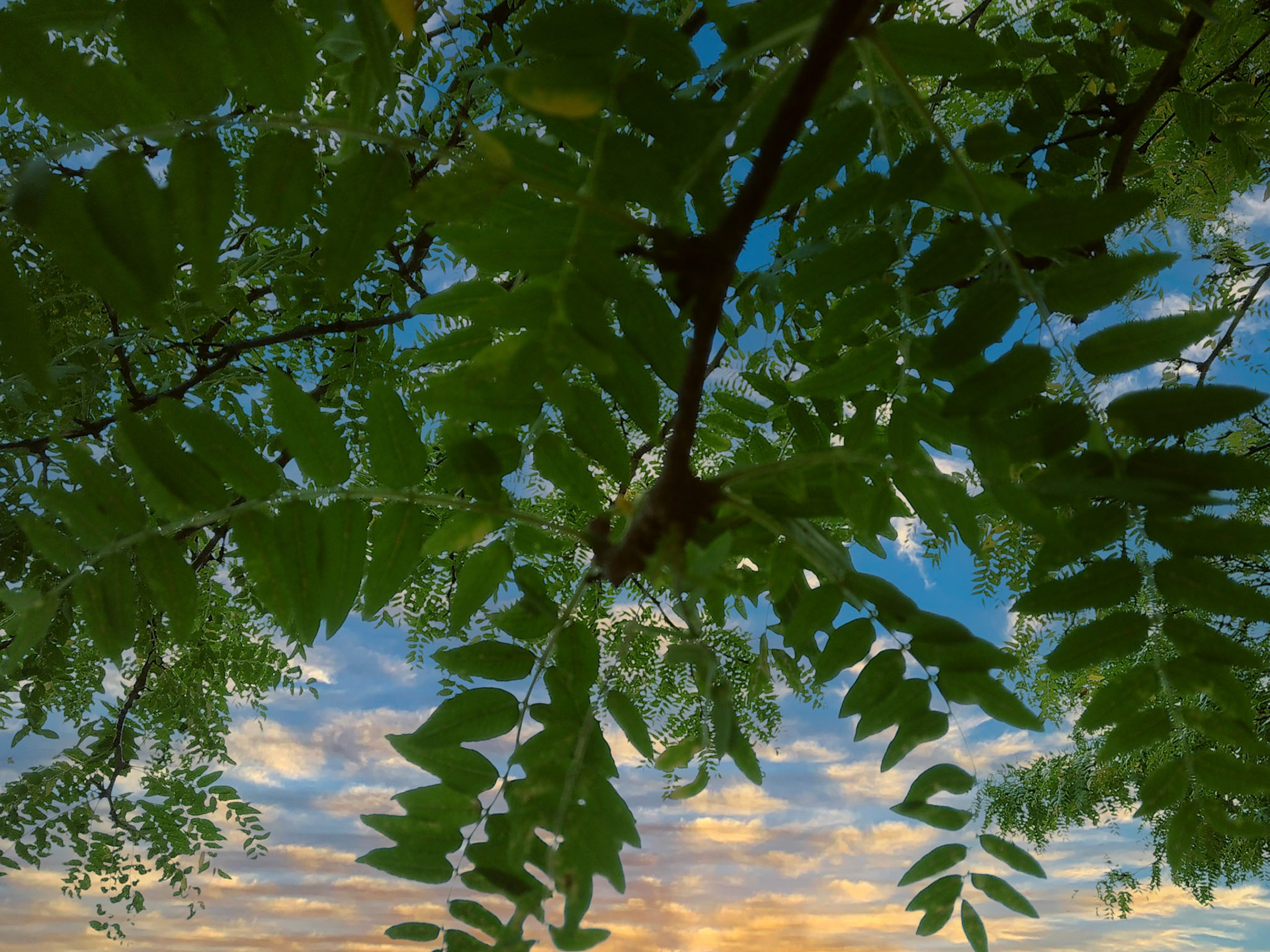 (Photo by Ayla Gerken)