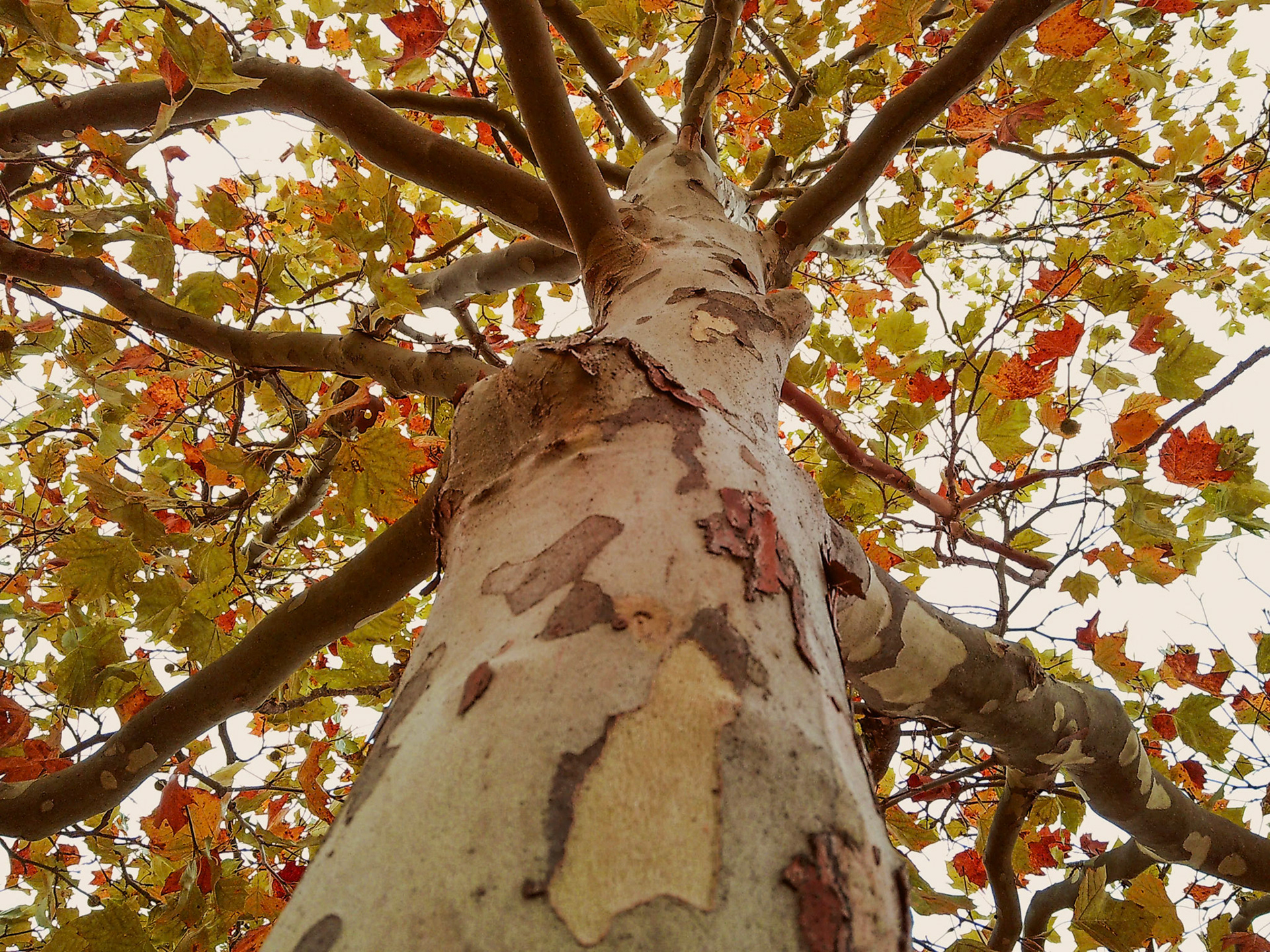 (Photo by Ayla Gerken)