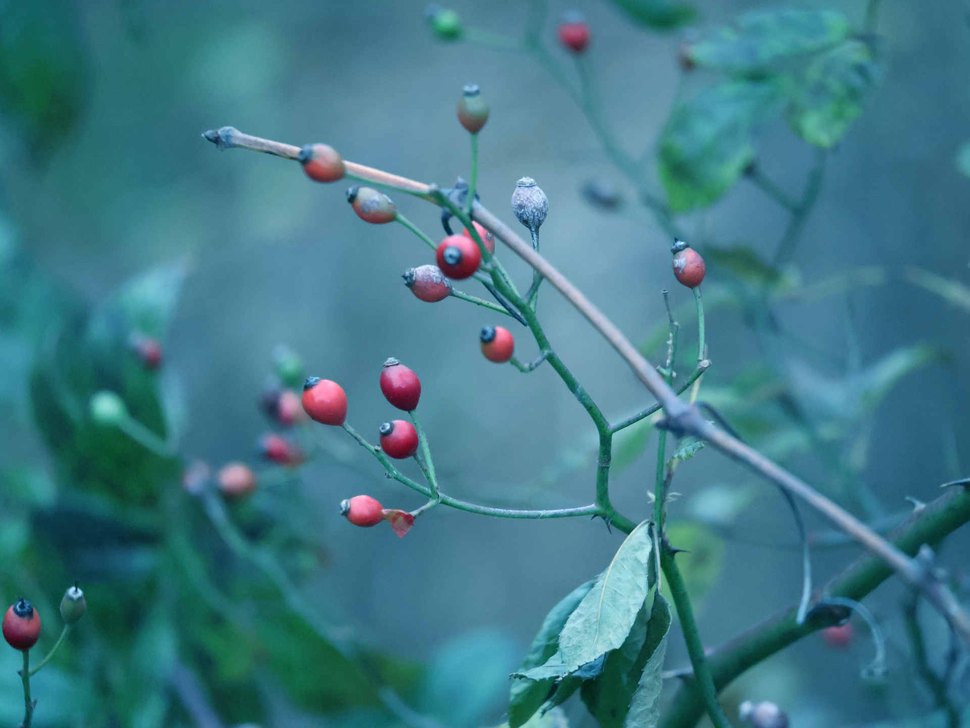 (Photo by Ashlyn Nichols)