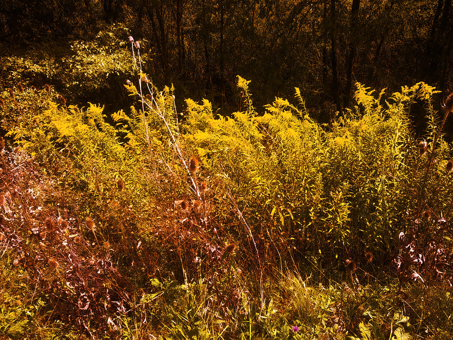 (Photo by Eli Hughes)