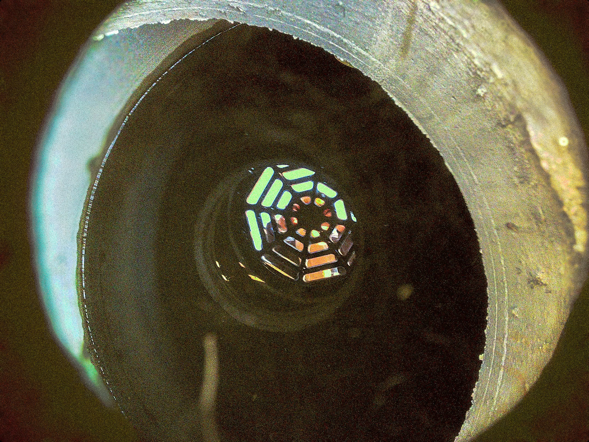 (Photo by Brecken Byrd)