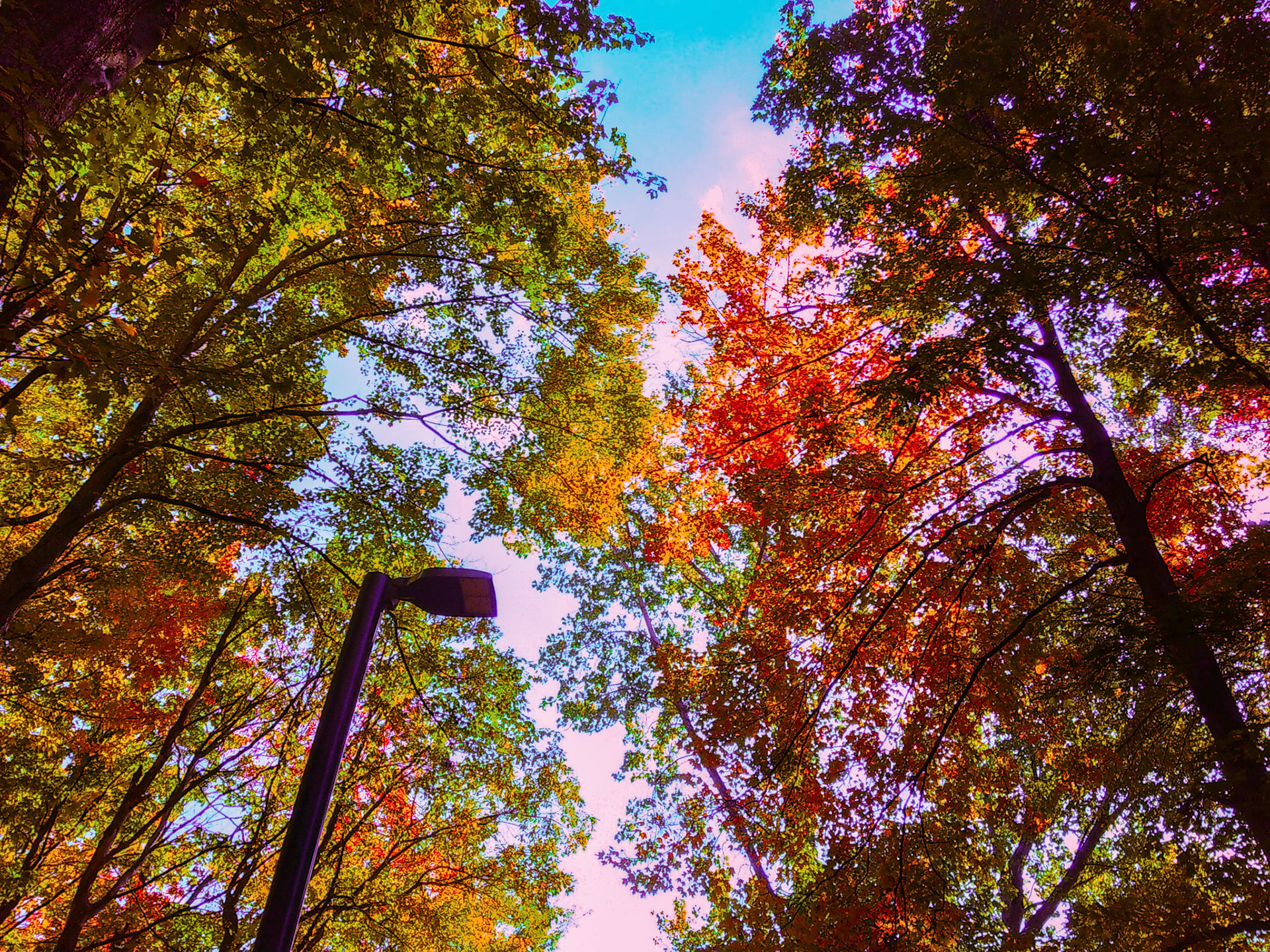 (Photo by Maddi Triebel)