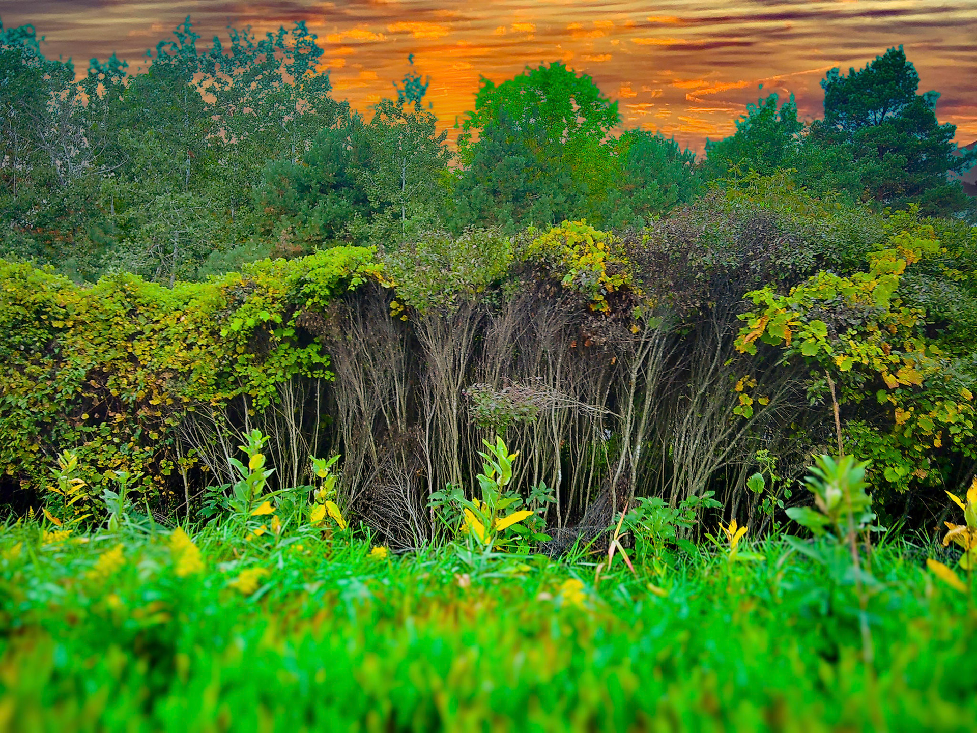 (Photo by Gavin VanderHoff)