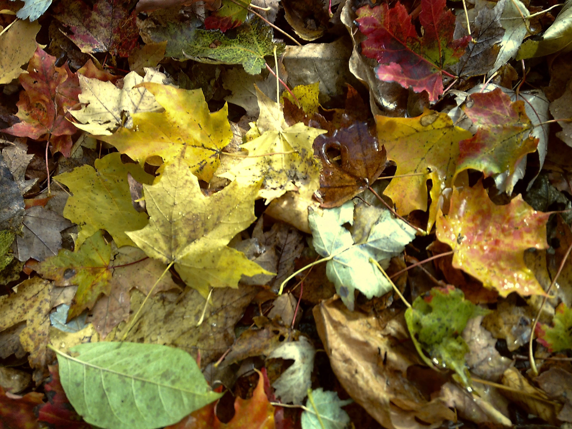 (Photo by Erik Cove)